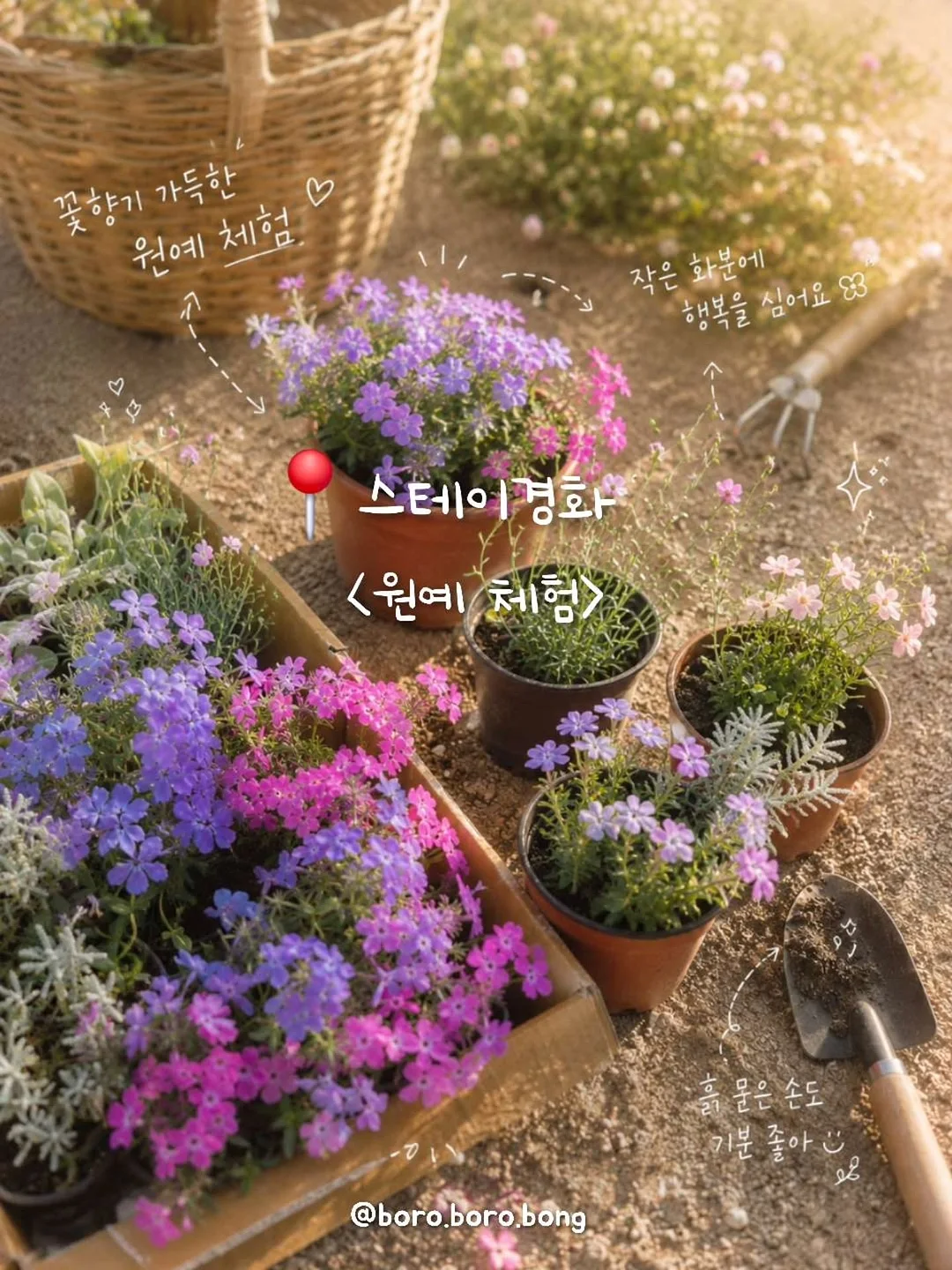 Vipo x Miffy 미피와 친구들 랜덤박스 13