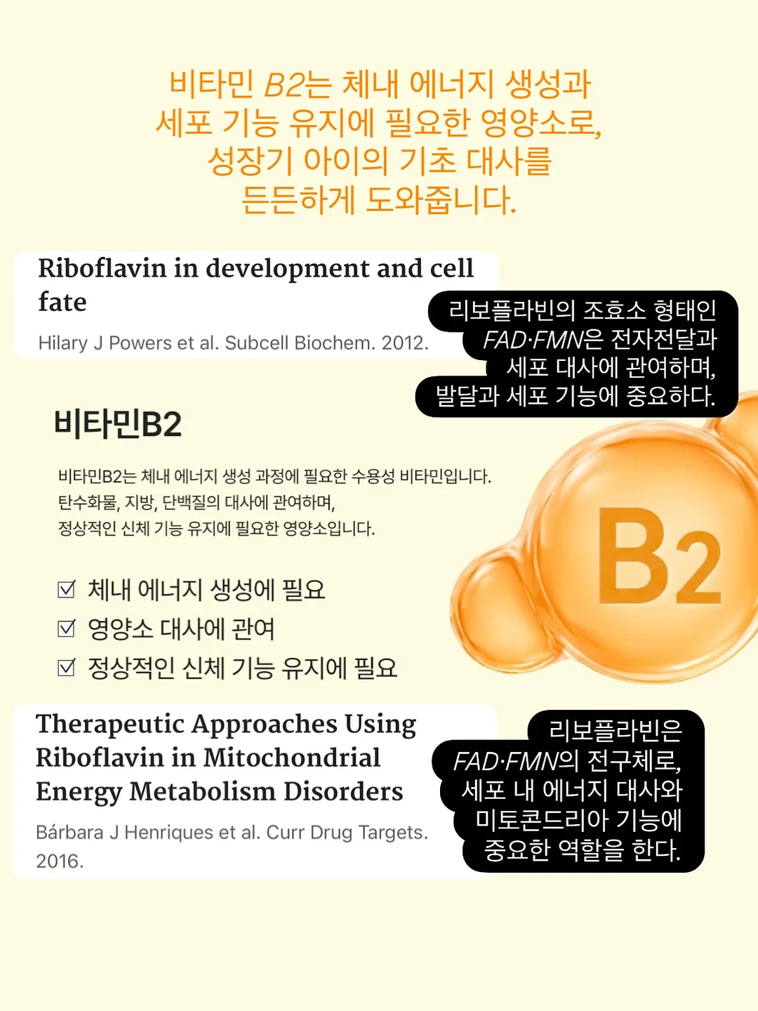 블랑드블랑 주르 컬렉션 & 라피네 컬렉션 9