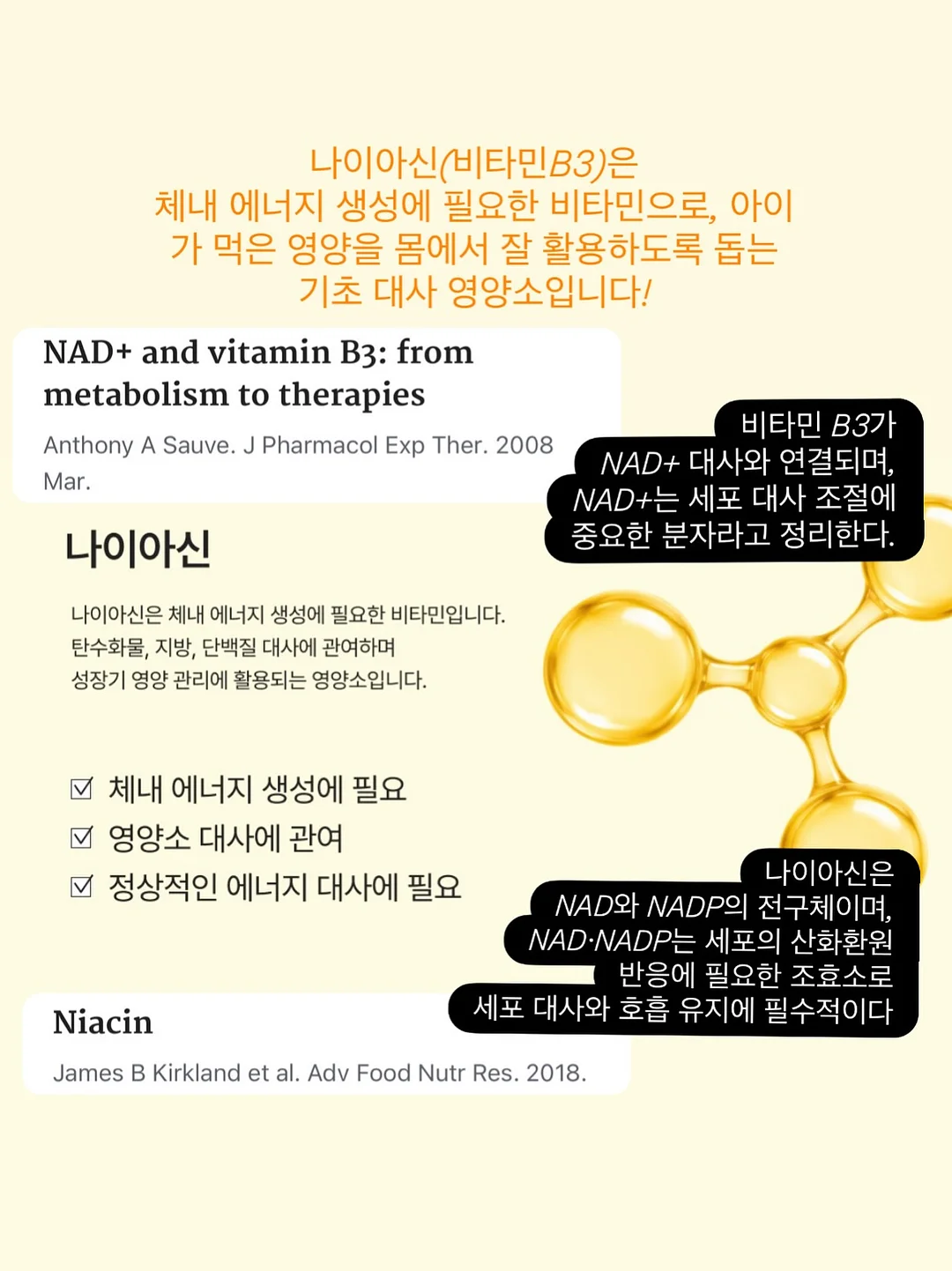 블랑드블랑 주르 컬렉션 & 라피네 컬렉션 10