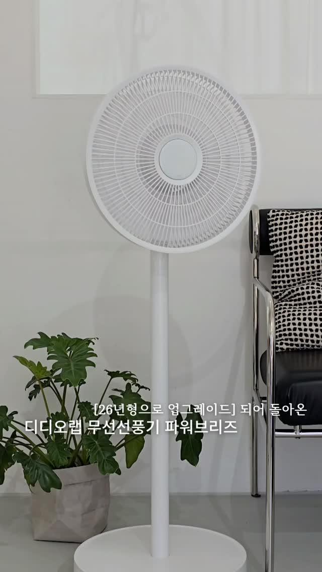 대파 보관법