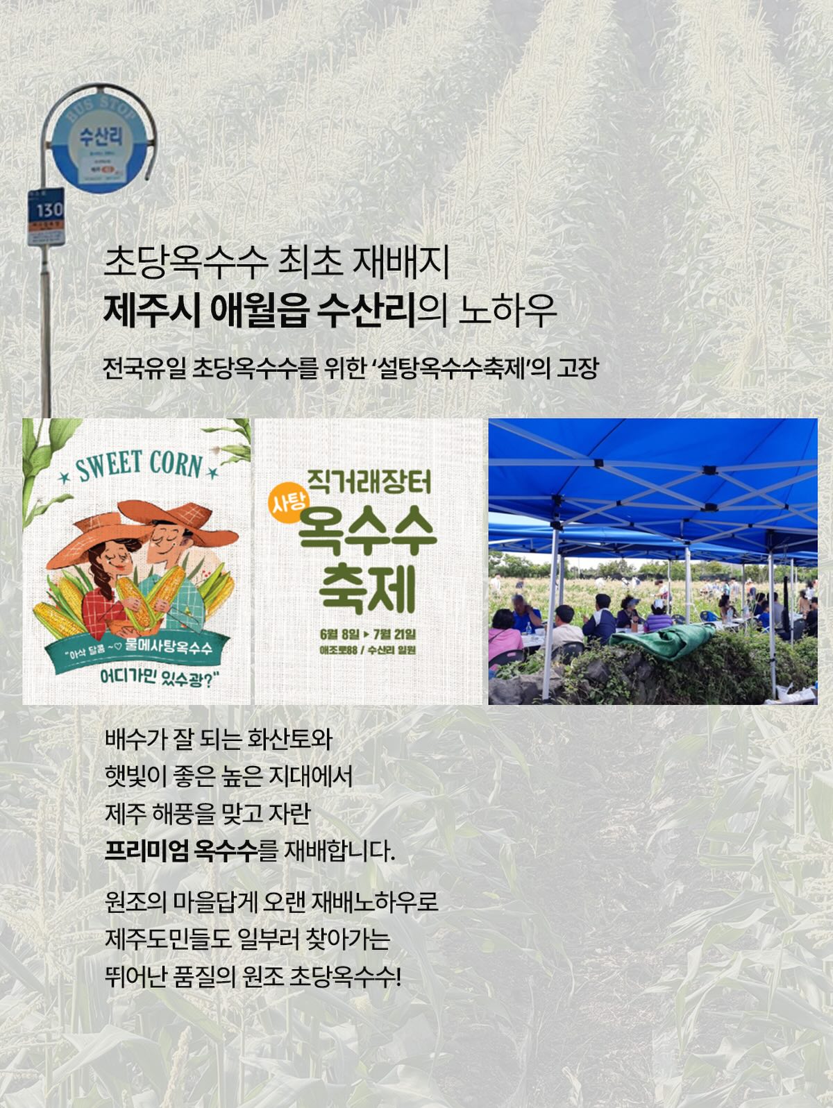 리코더 파우치 4