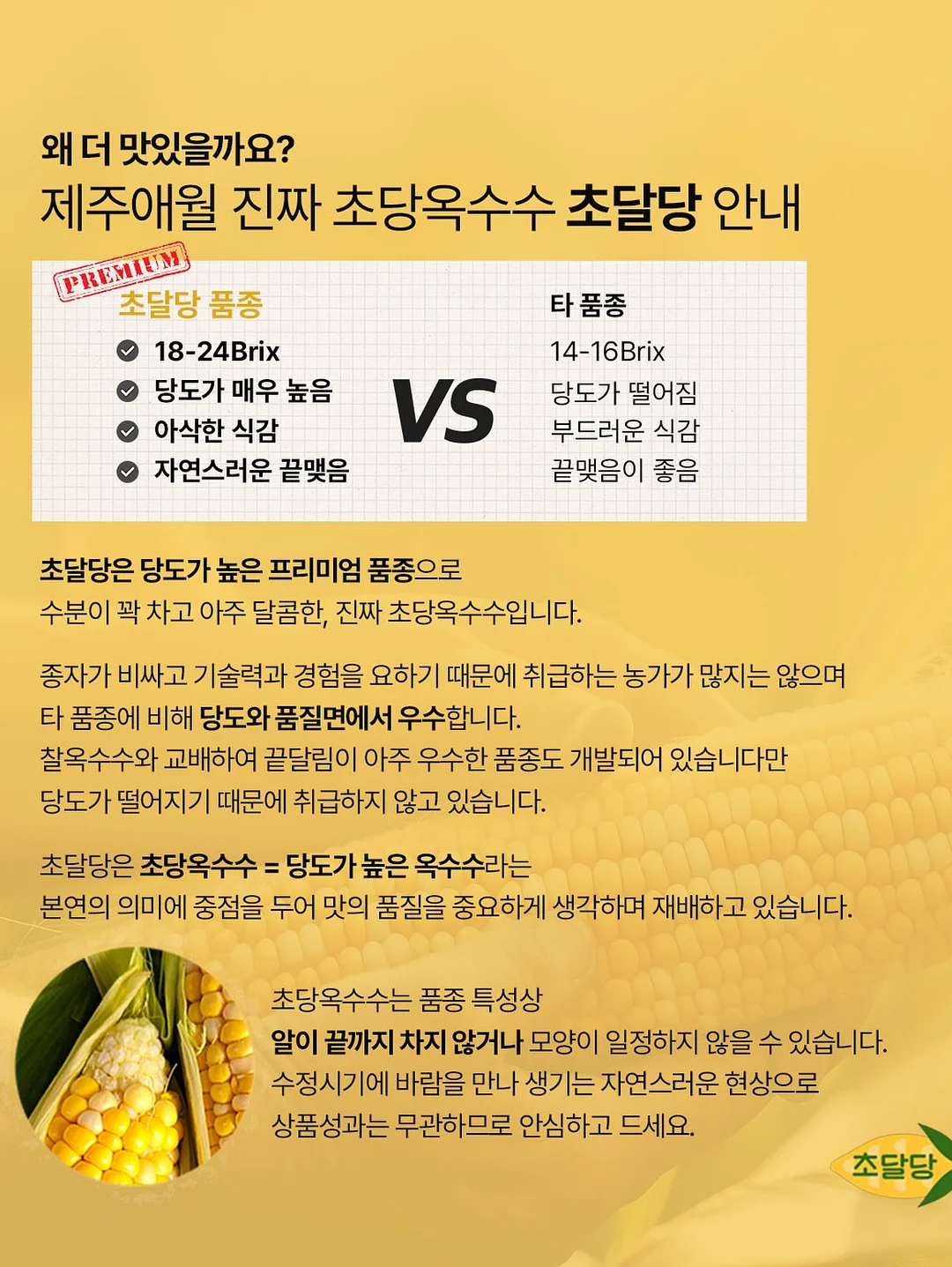 리코더 파우치 5