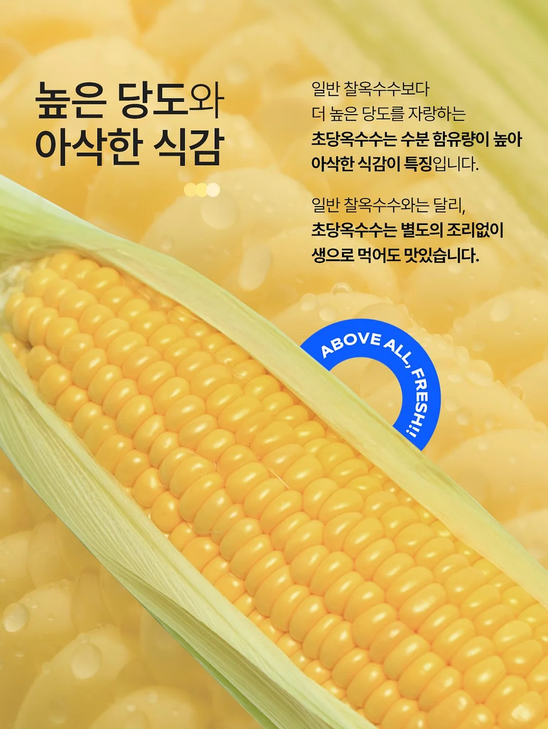 리코더 파우치 6