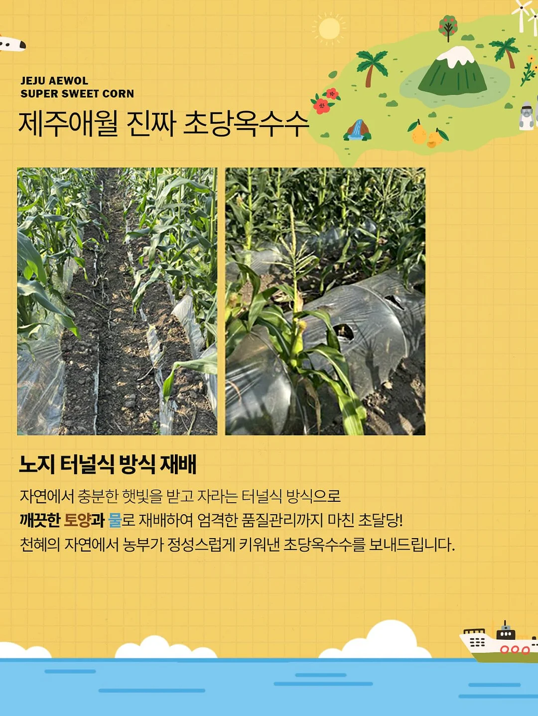 리코더 파우치 7