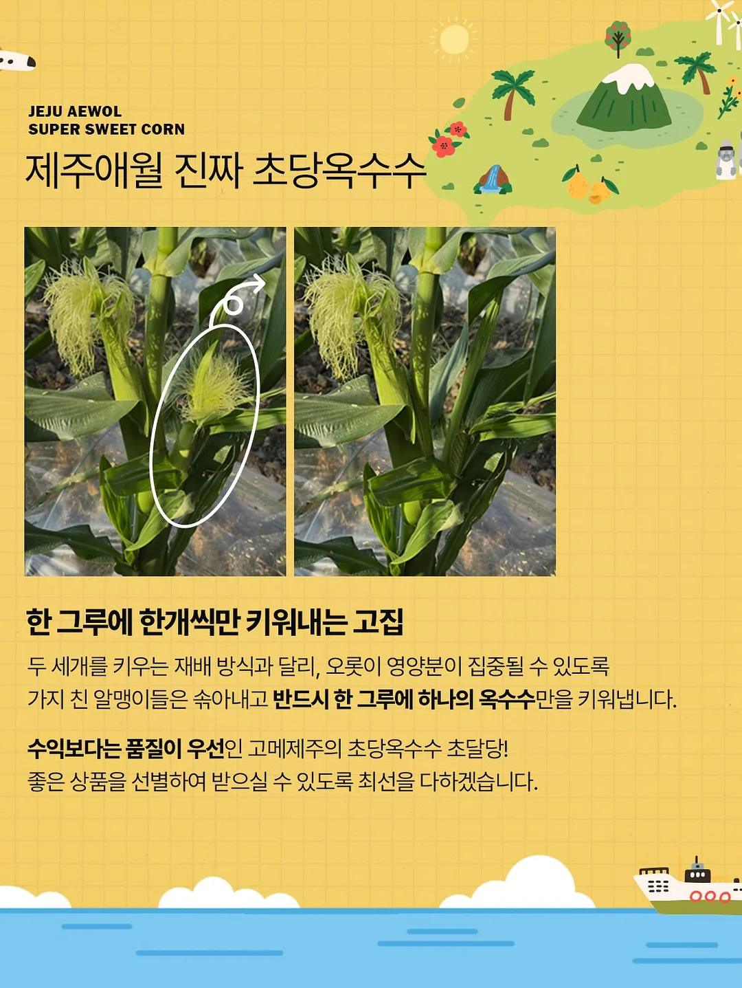 리코더 파우치 8