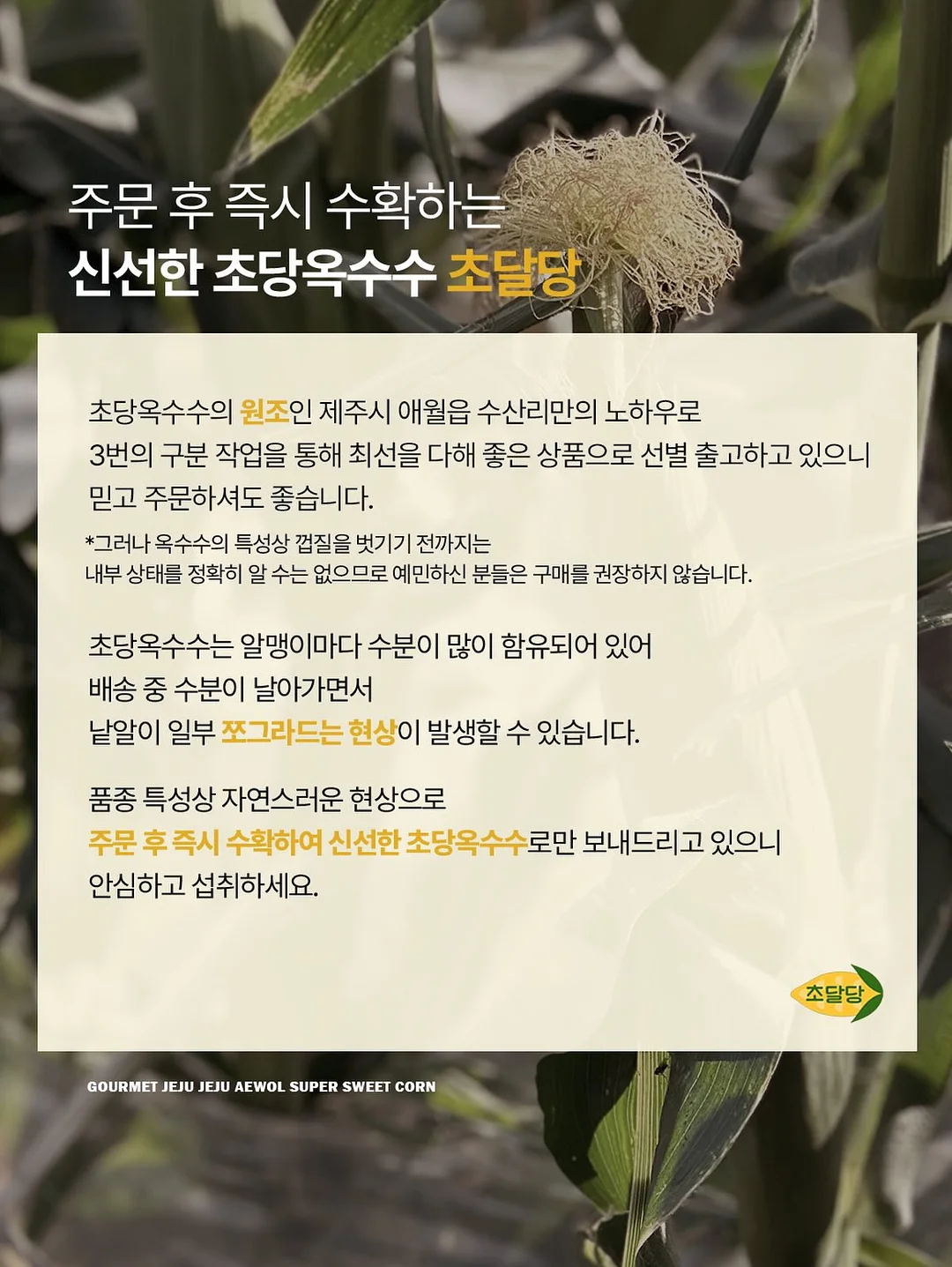 리코더 파우치 10