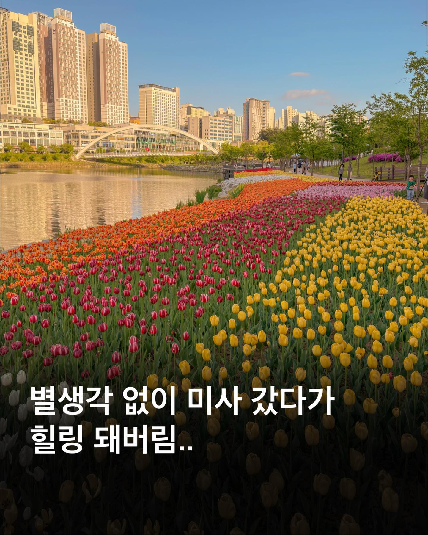 타로 밀크티, 얼그레이 밀크티, 블랙 밀크티 1