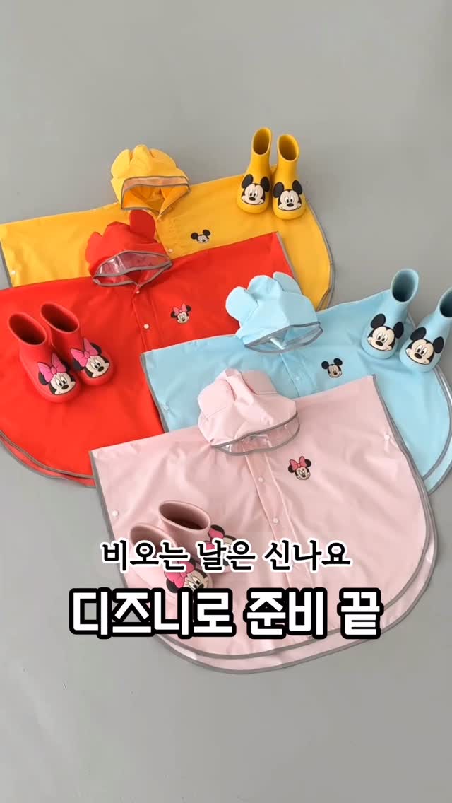사랑목 화분