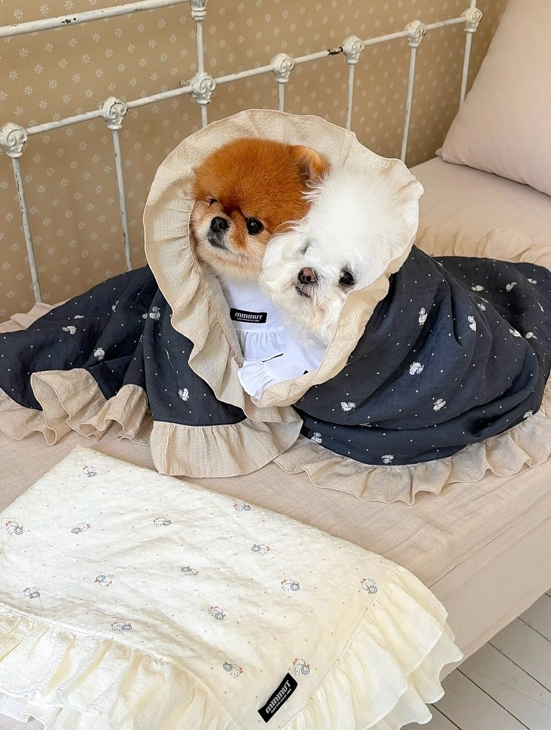 세계문화전집 안부를 전하며 11