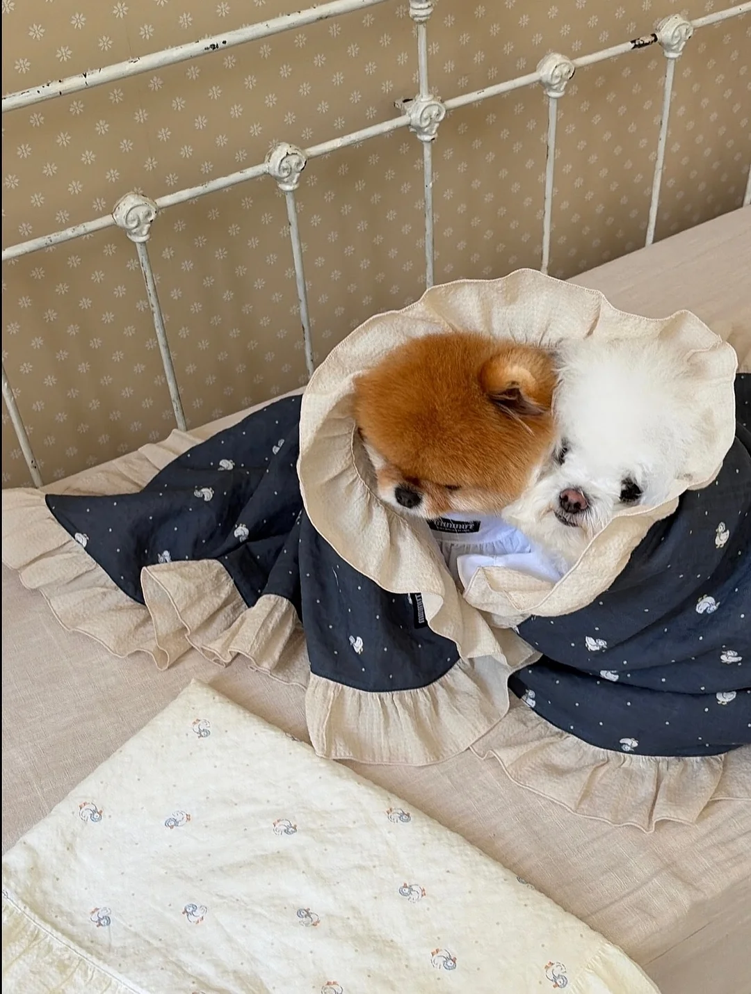 세계문화전집 안부를 전하며 12