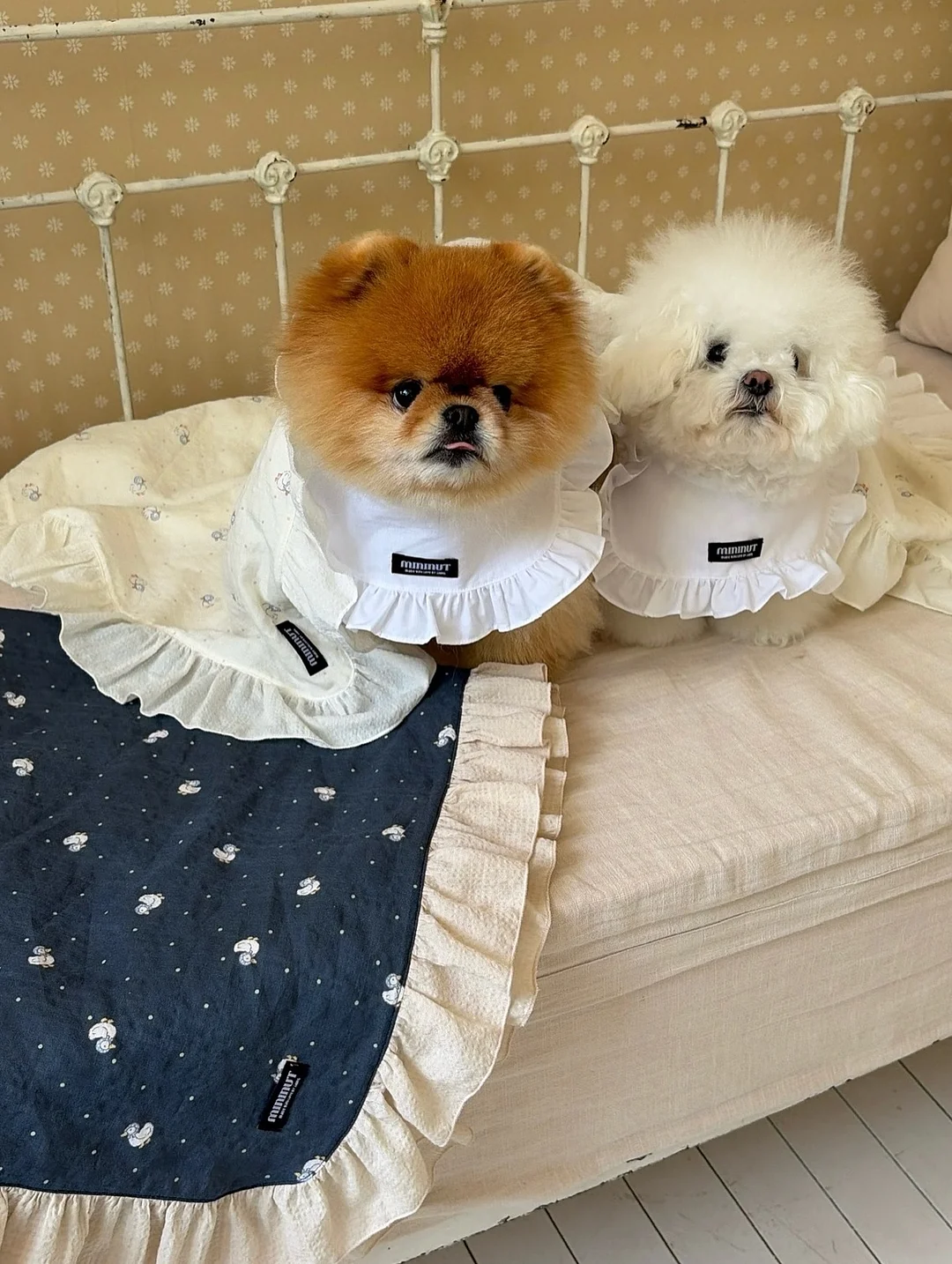 세계문화전집 안부를 전하며 8