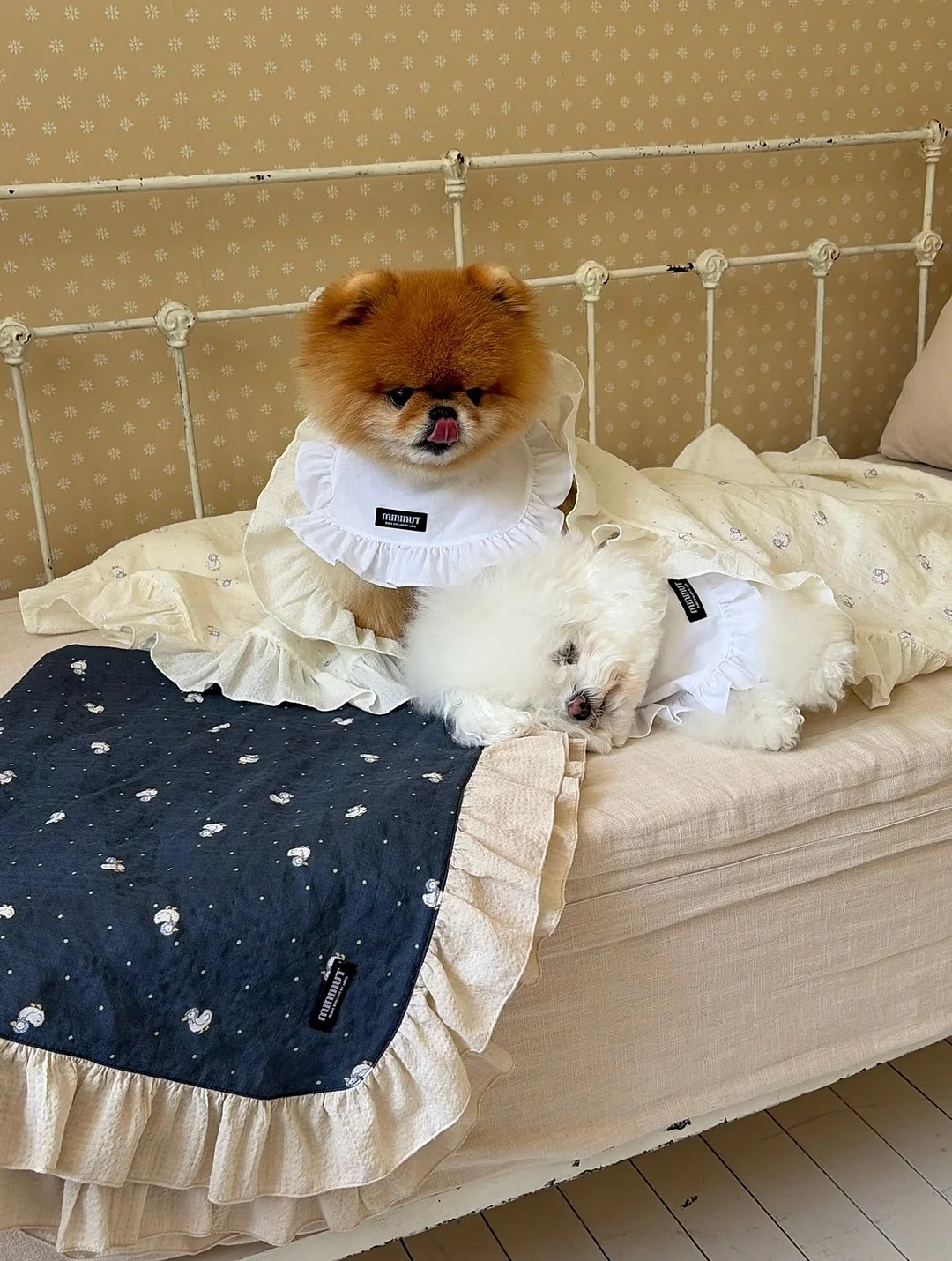 세계문화전집 안부를 전하며 9