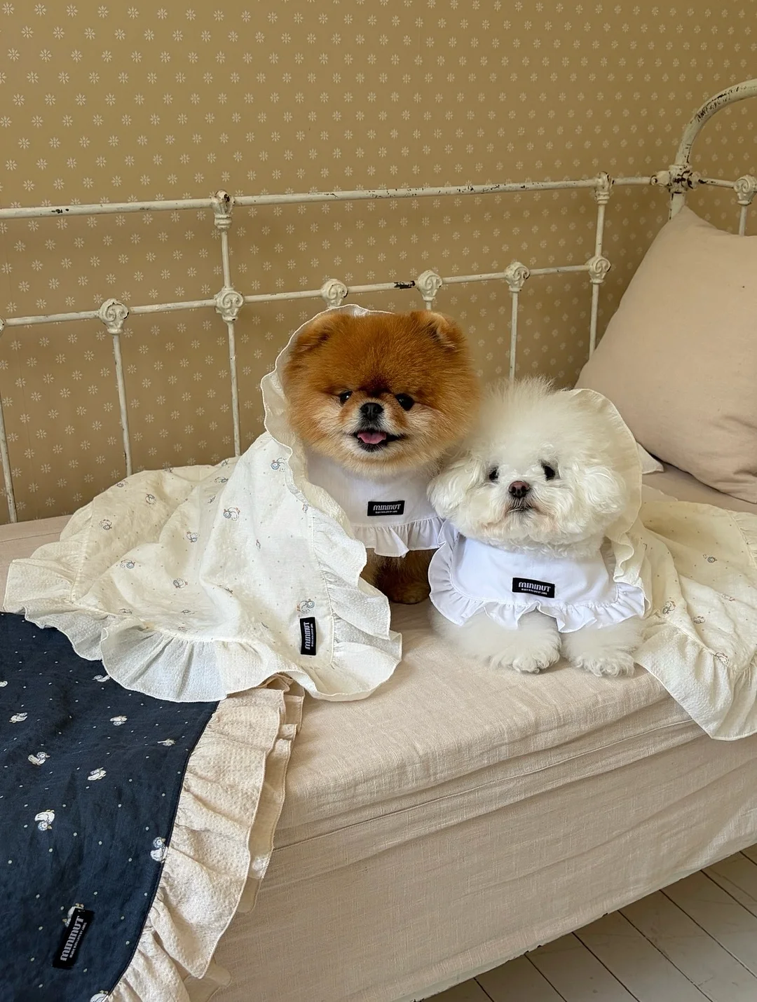 세계문화전집 안부를 전하며 10