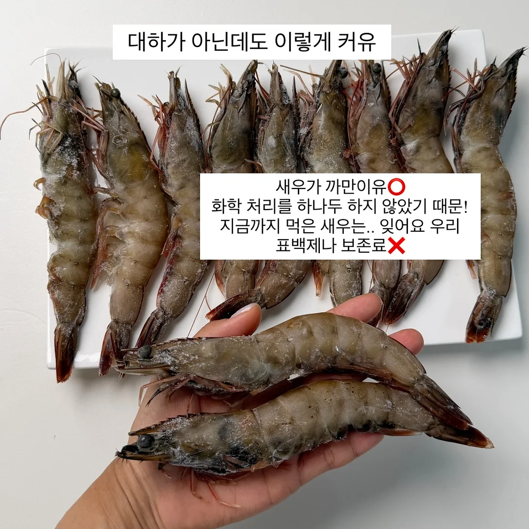 보도자료 4주완성 클래스 15