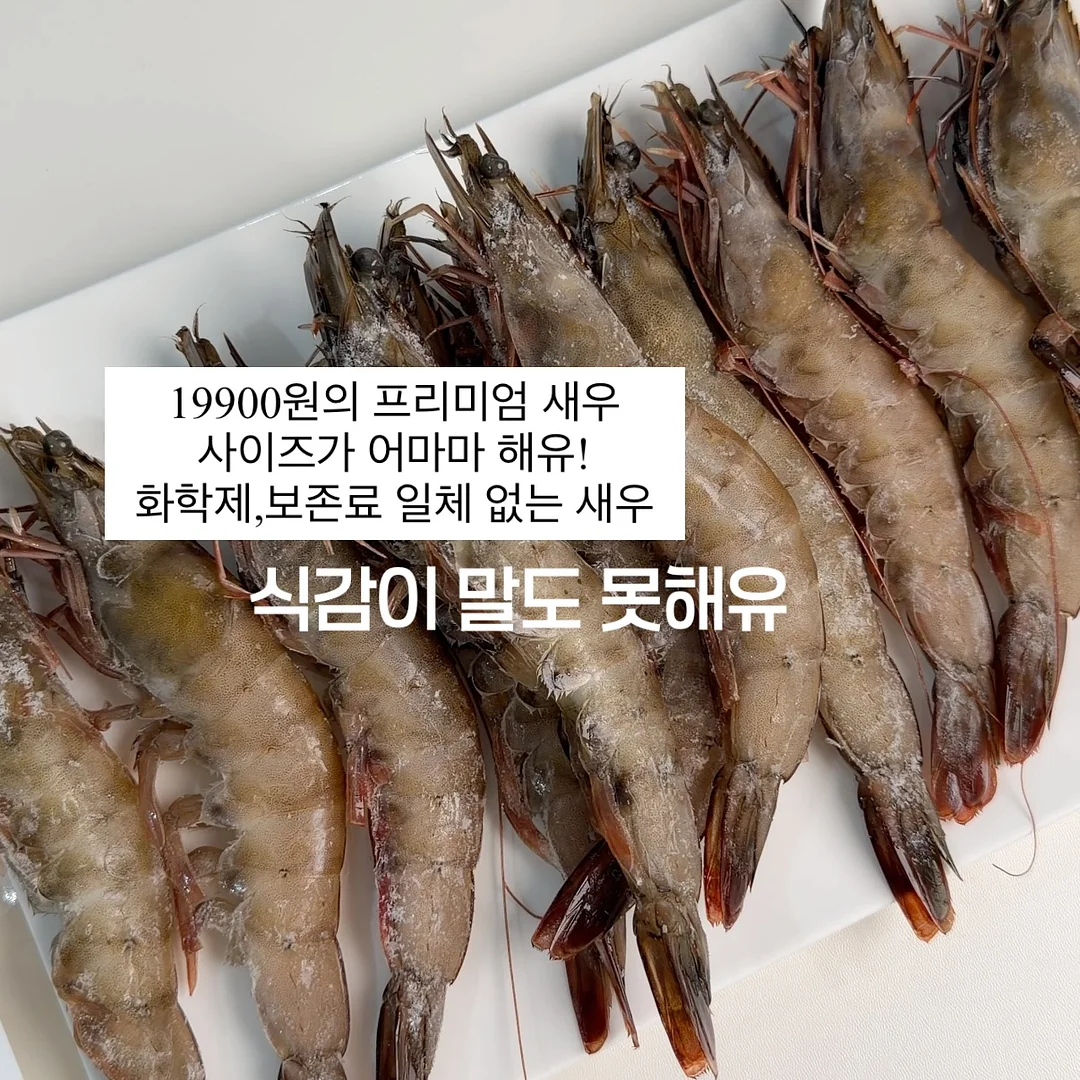 보도자료 4주완성 클래스 4