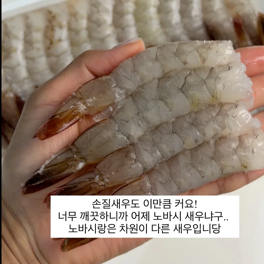 보도자료 4주완성 클래스 8