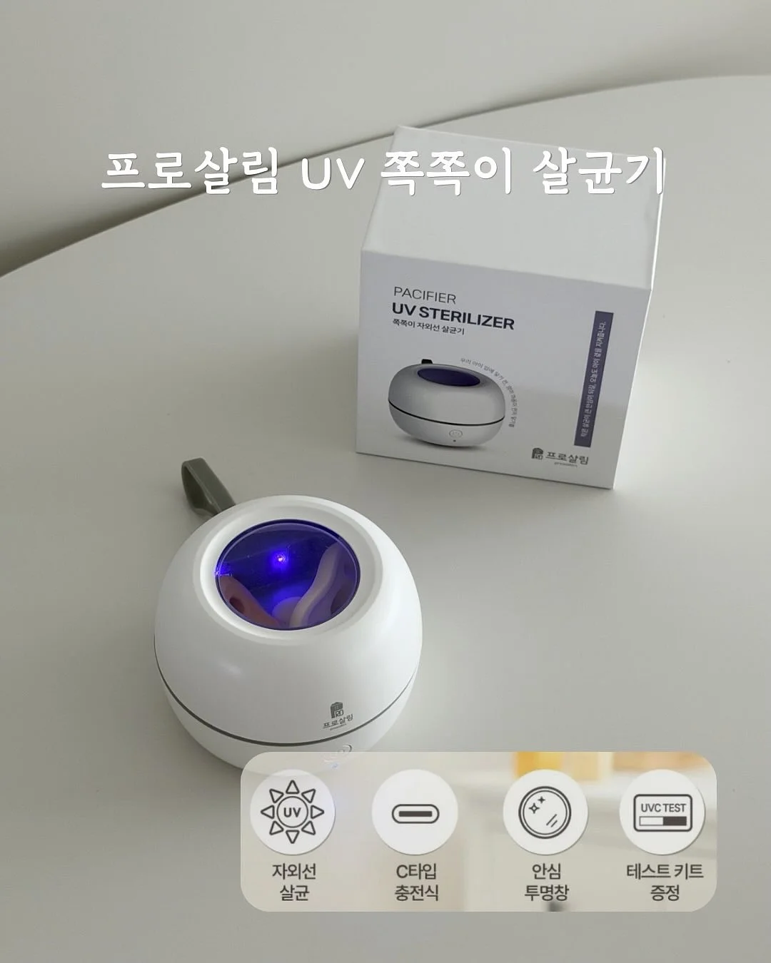 로미오장미 7