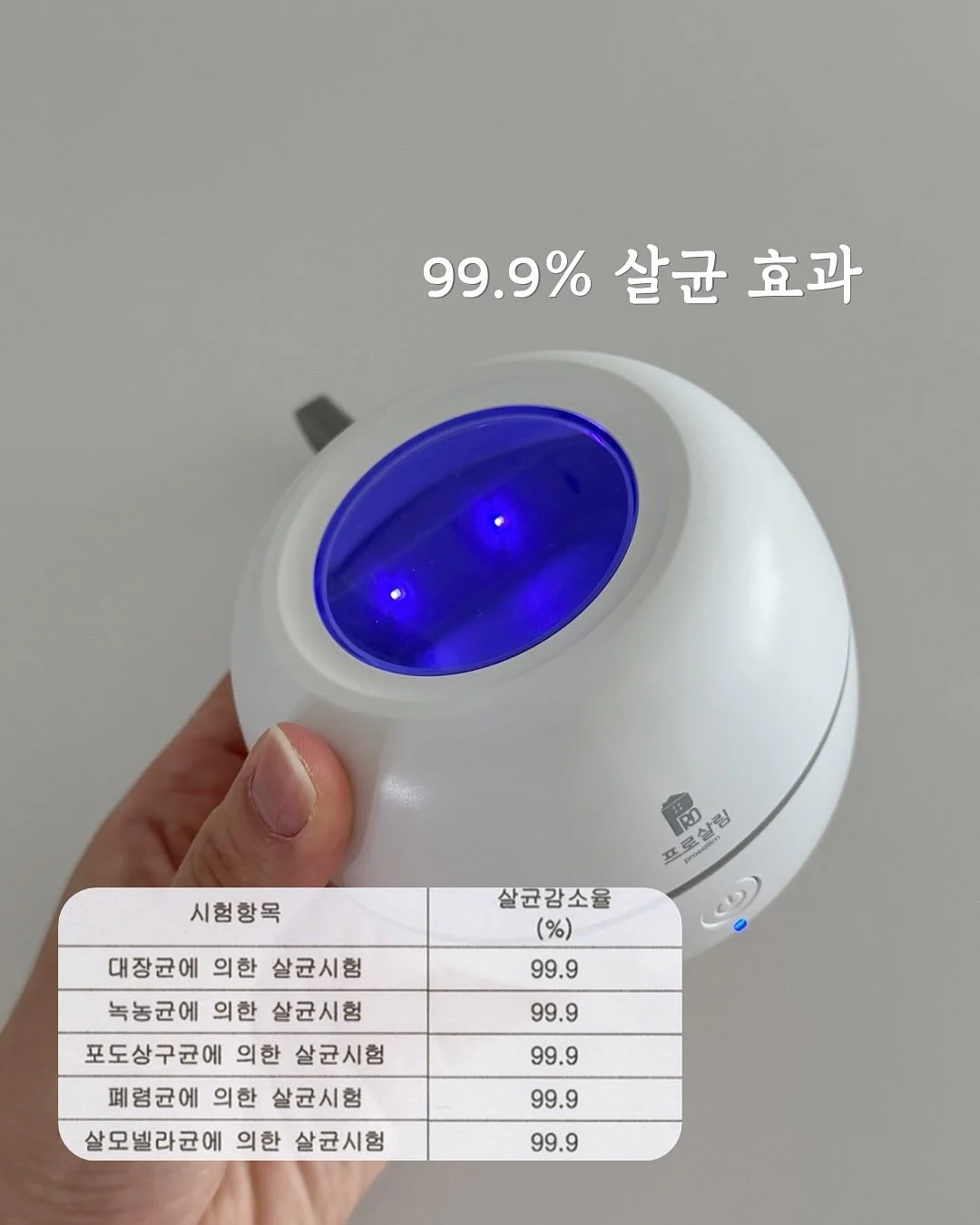 로미오장미 8