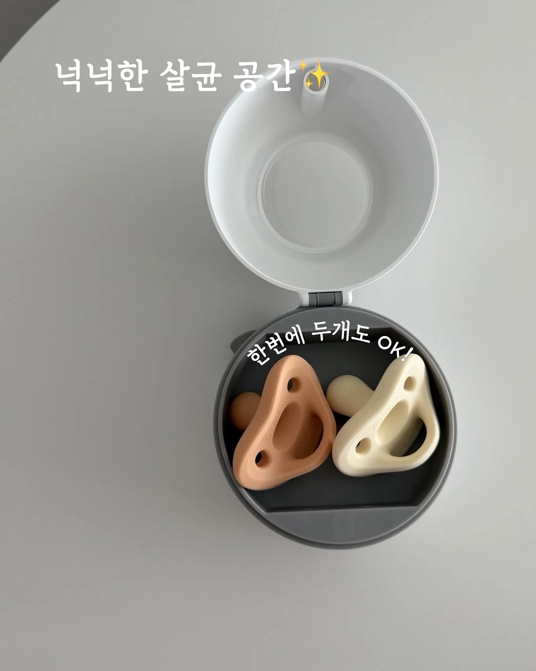 로미오장미 9