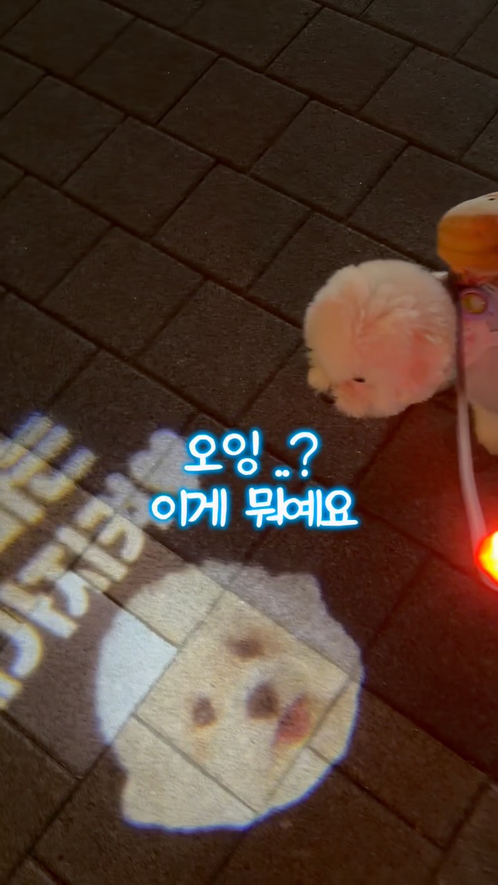 태양광 선풍기 모자