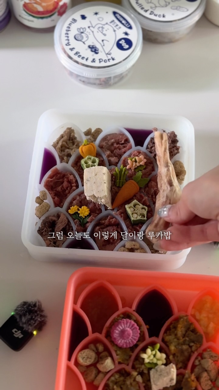 일본어 명카피 핸드북
