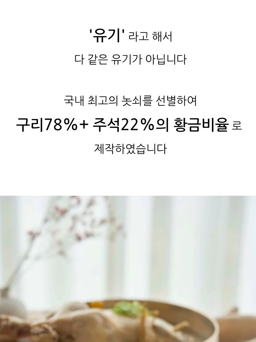 닌자 크리스피 11