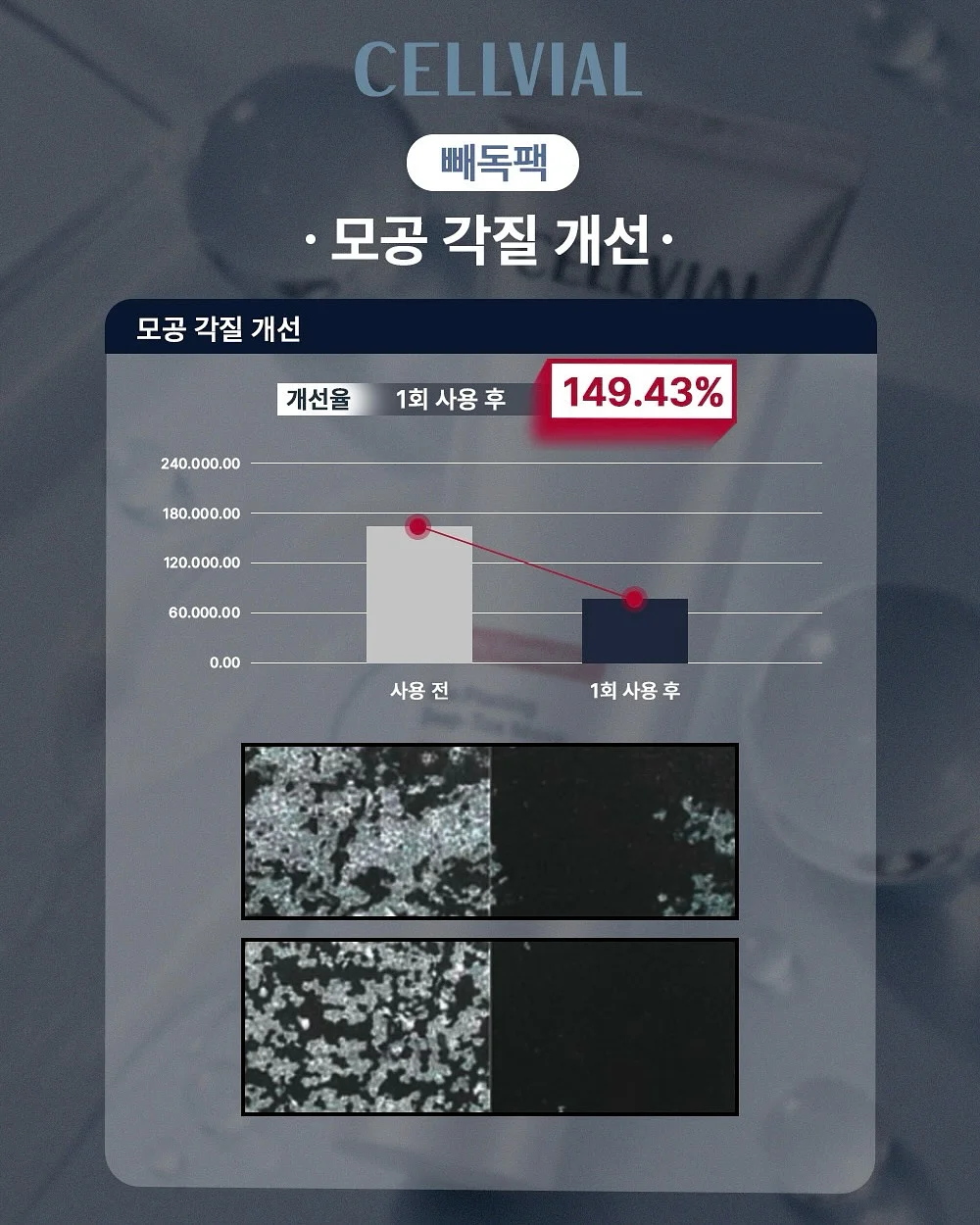 블랙 트러플펄 19