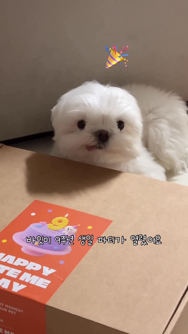 키티 변색 텀블러