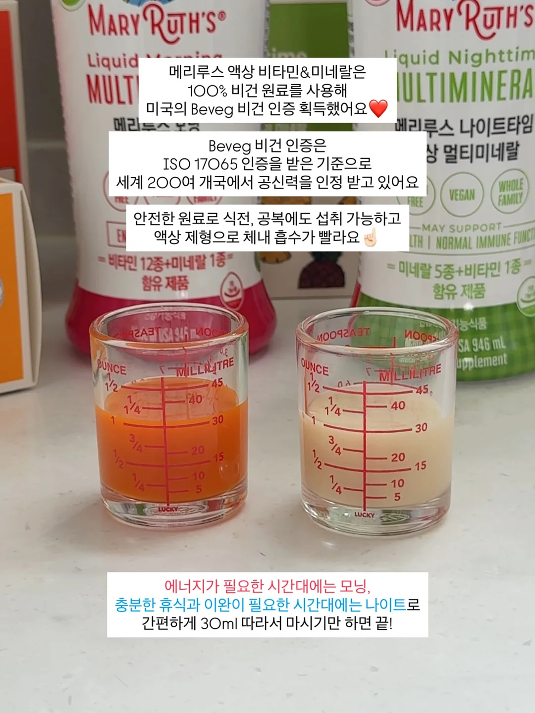 프렌치불독 7