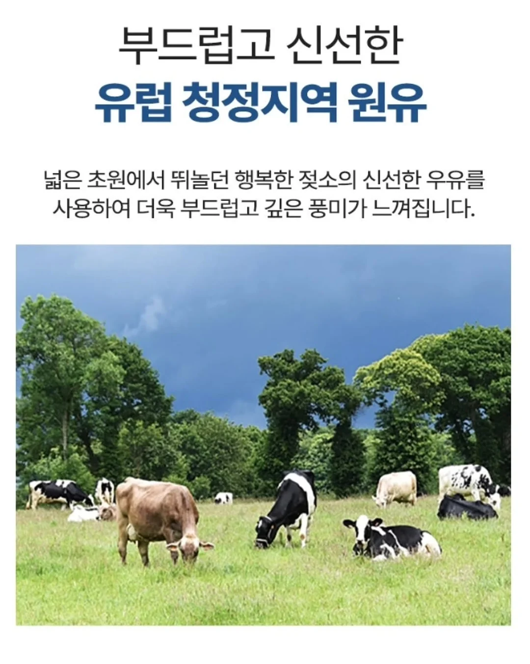 전신 홈트 동작 10
