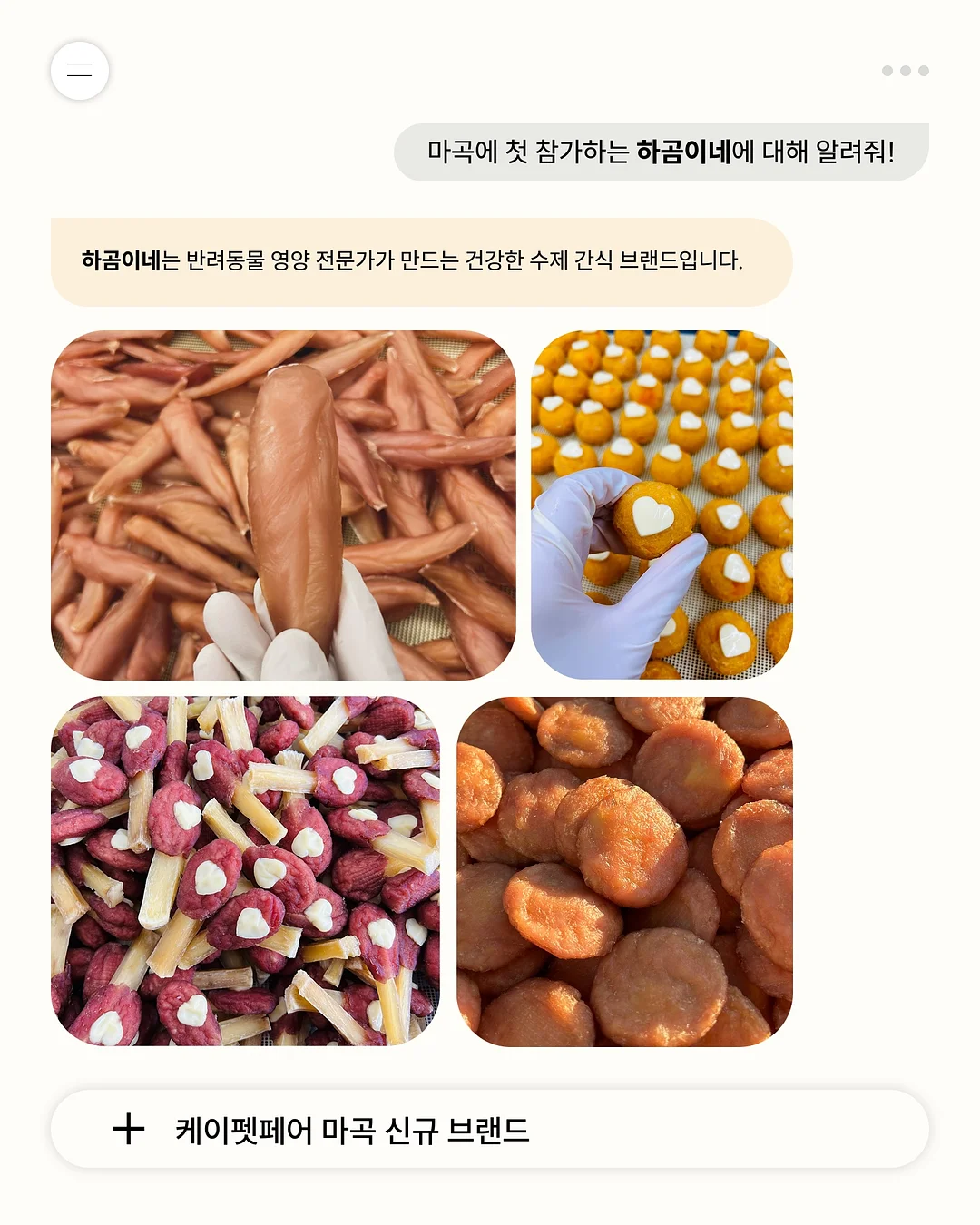 겔러트 레오파드 바람막이 11