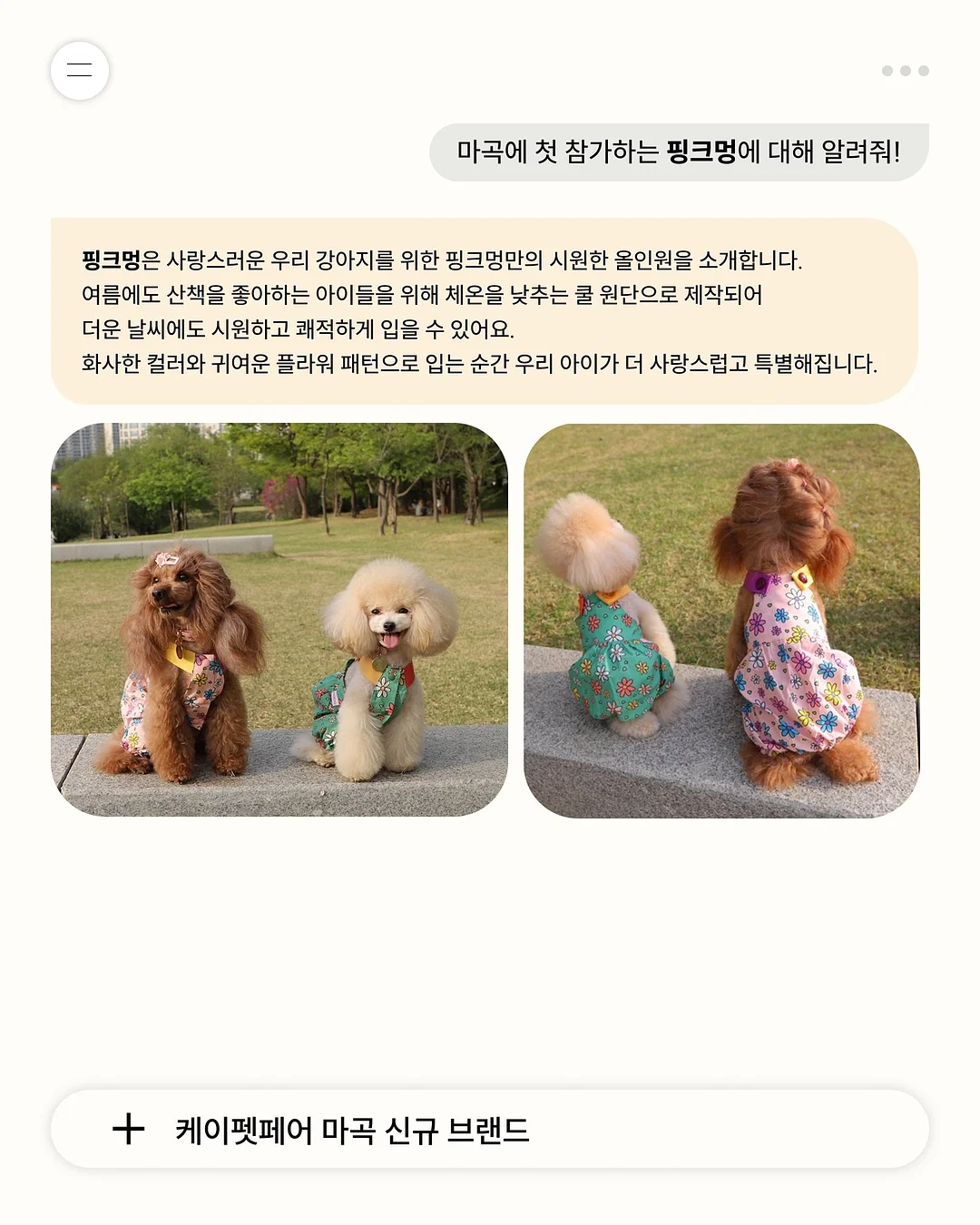 겔러트 레오파드 바람막이 10