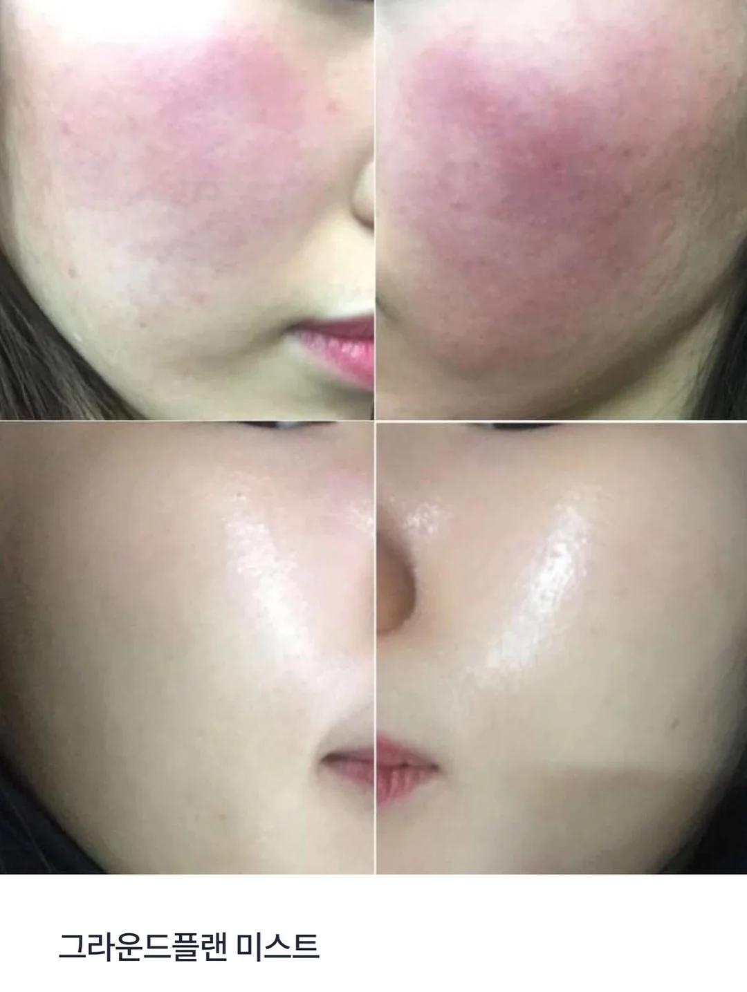 사페라비 와인 2