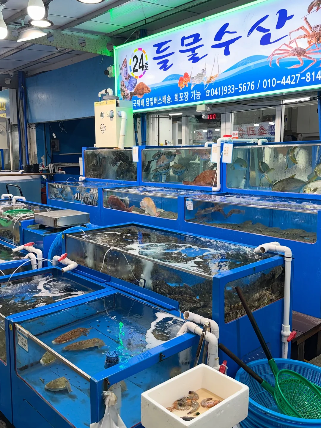 톰브라운 반팔 가디건 8