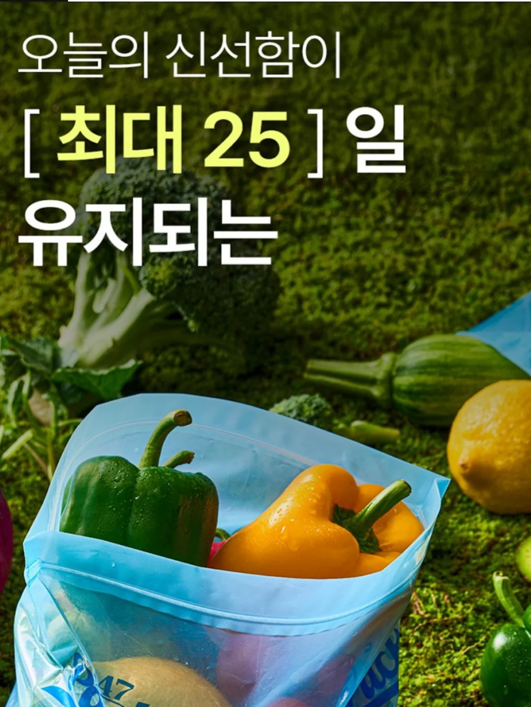 아라비아 핀란드 코스모스 컵 앤 소서 10