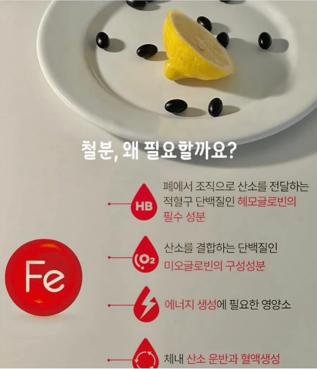 오베 코튼 자카드 레이스 프릴 퍼프 리본 스트랩 오프숄더 반팔 블라우스 10