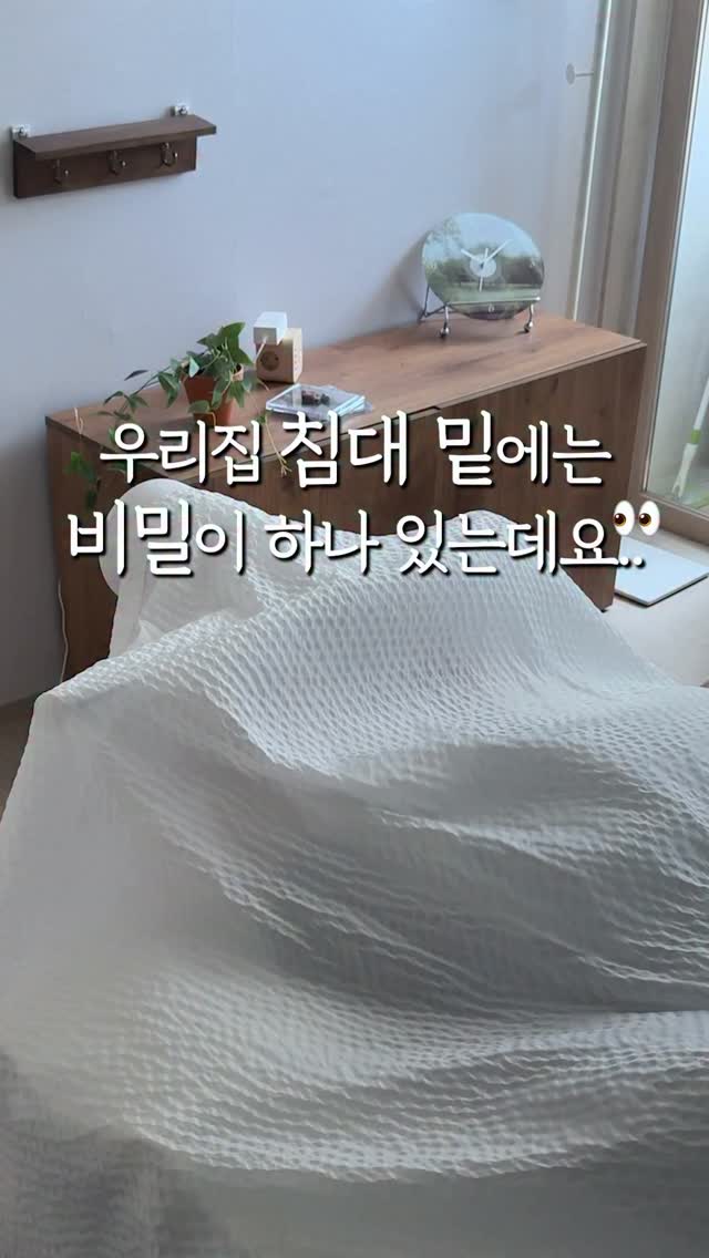 압축 파우치