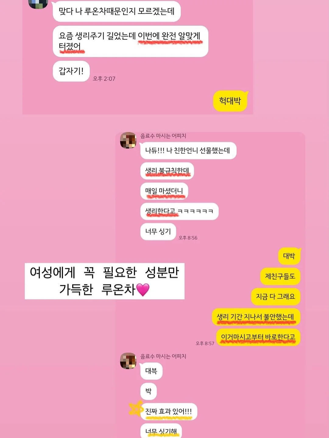애견 가방 11