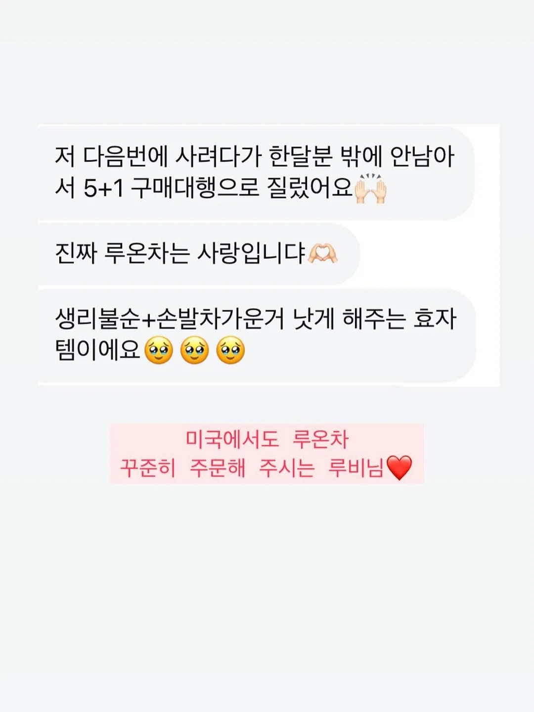 애견 가방 2