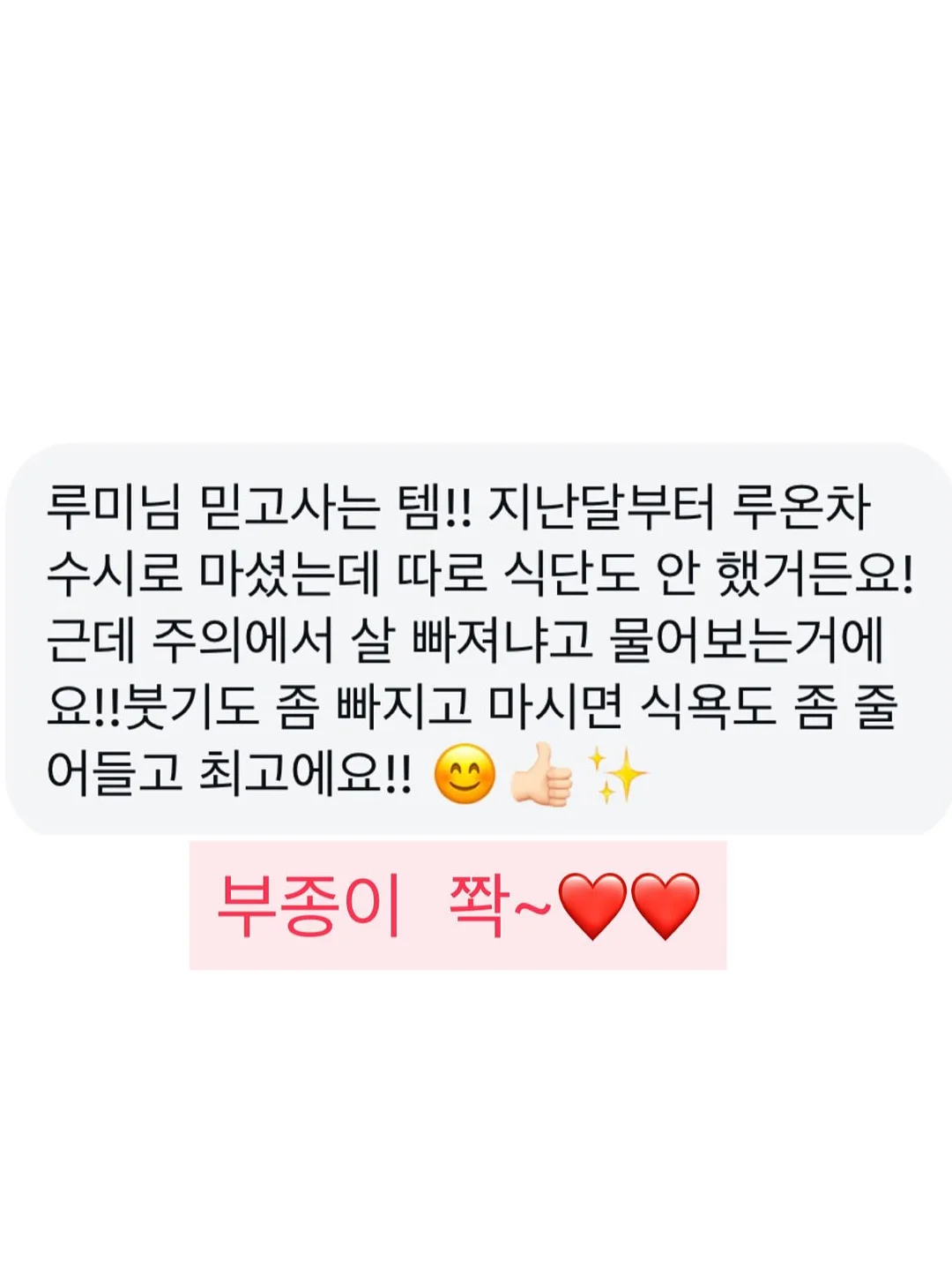 애견 가방 3