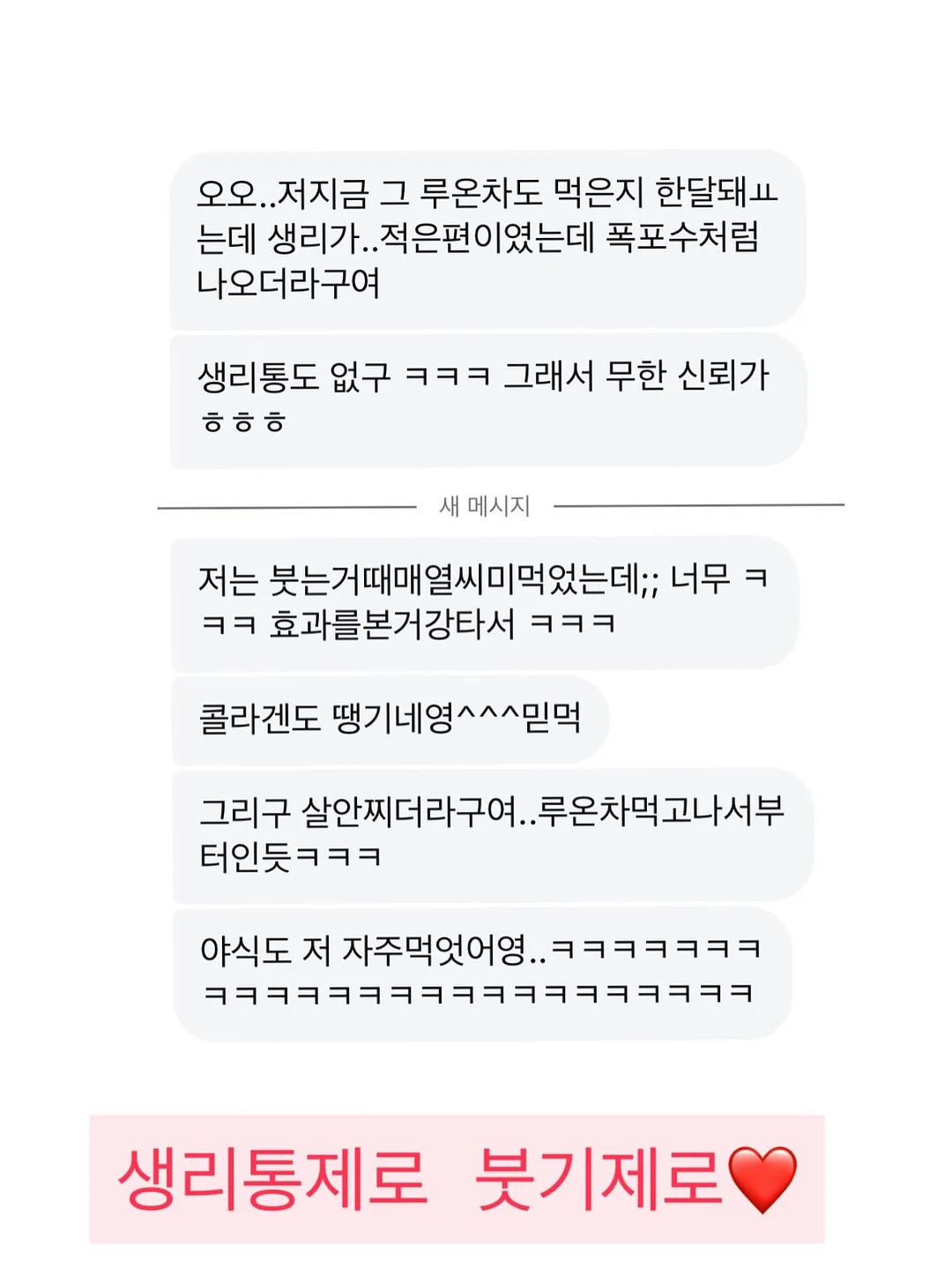 애견 가방 4