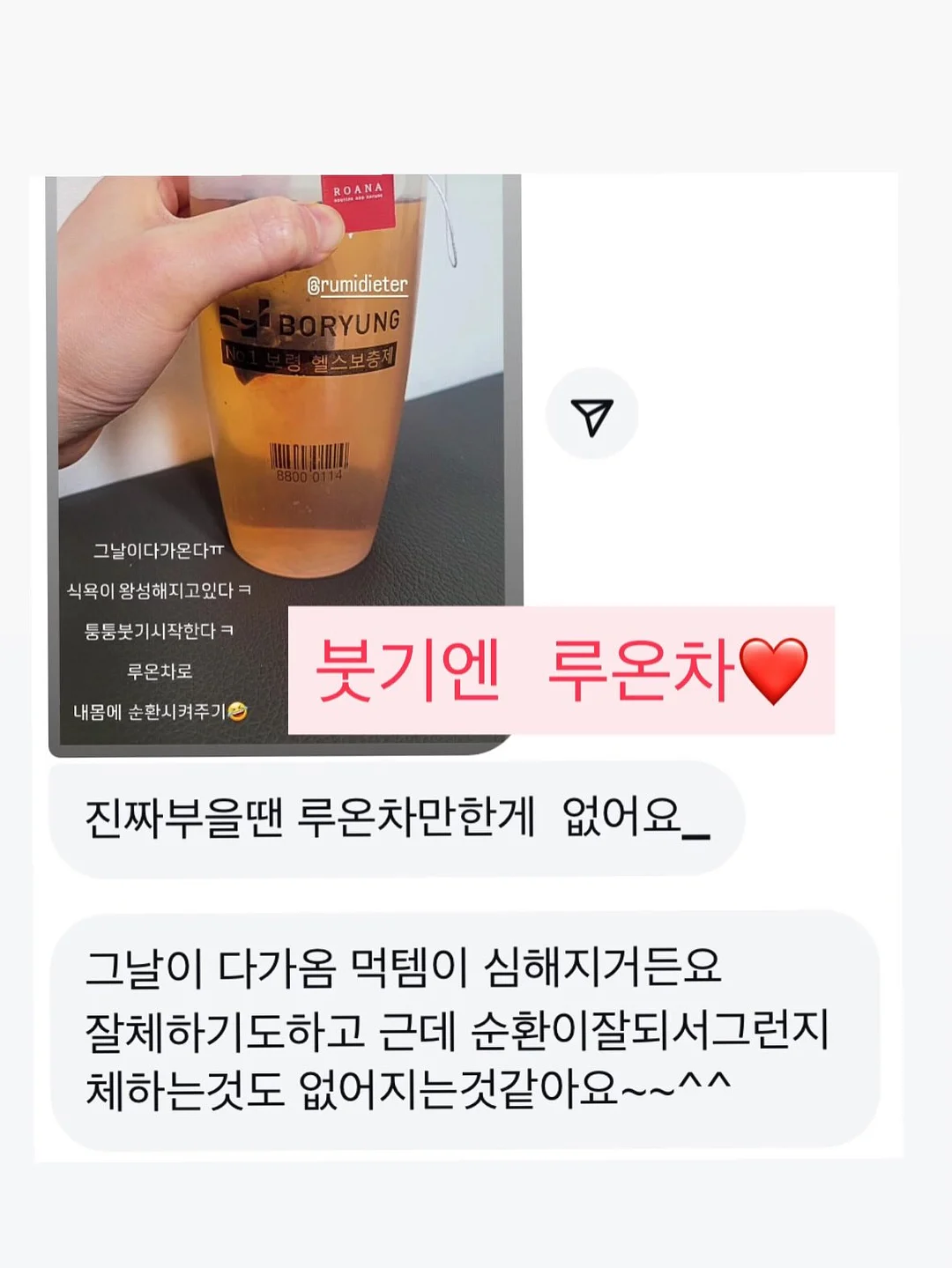 애견 가방 5