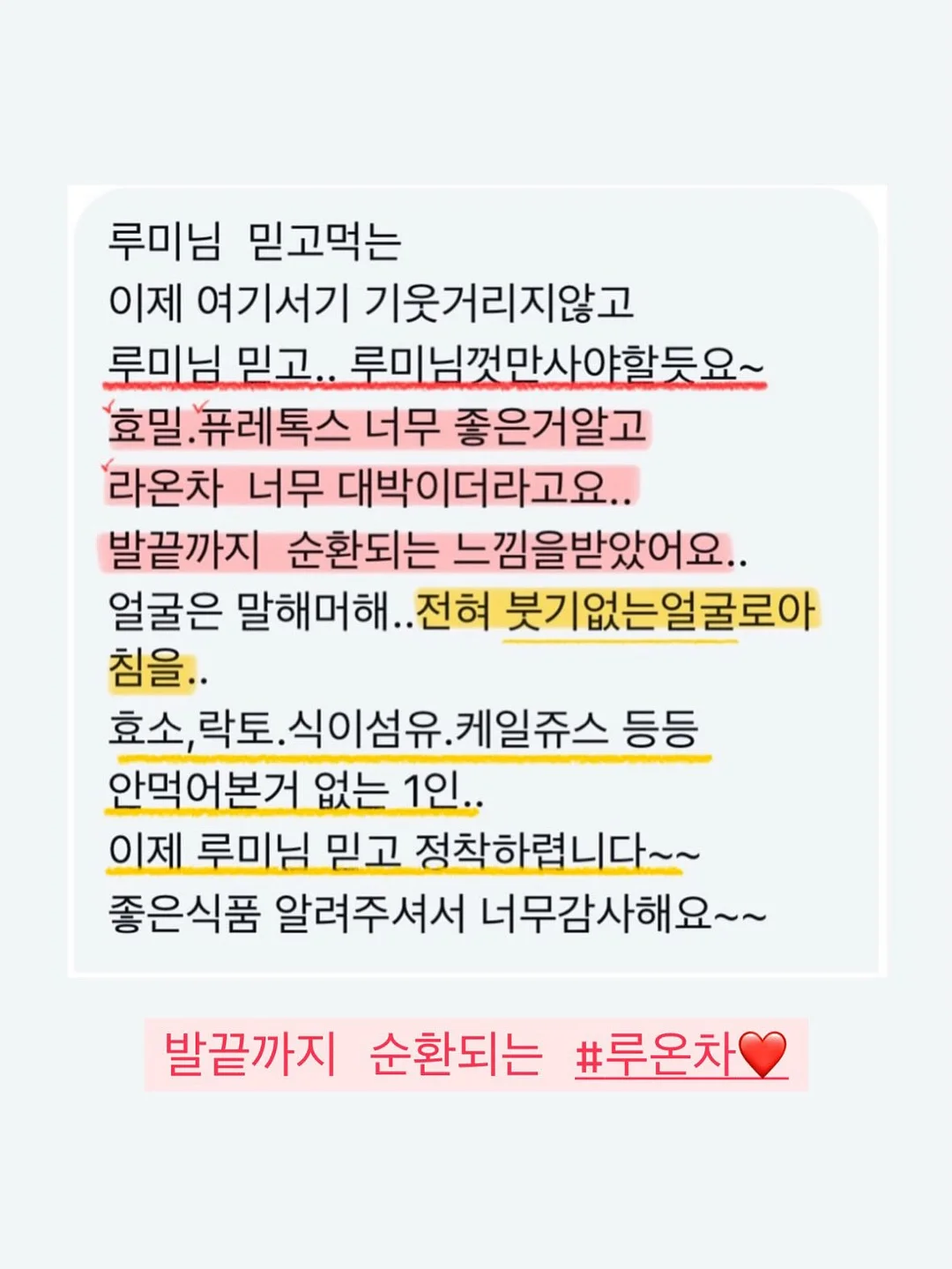 애견 가방 6