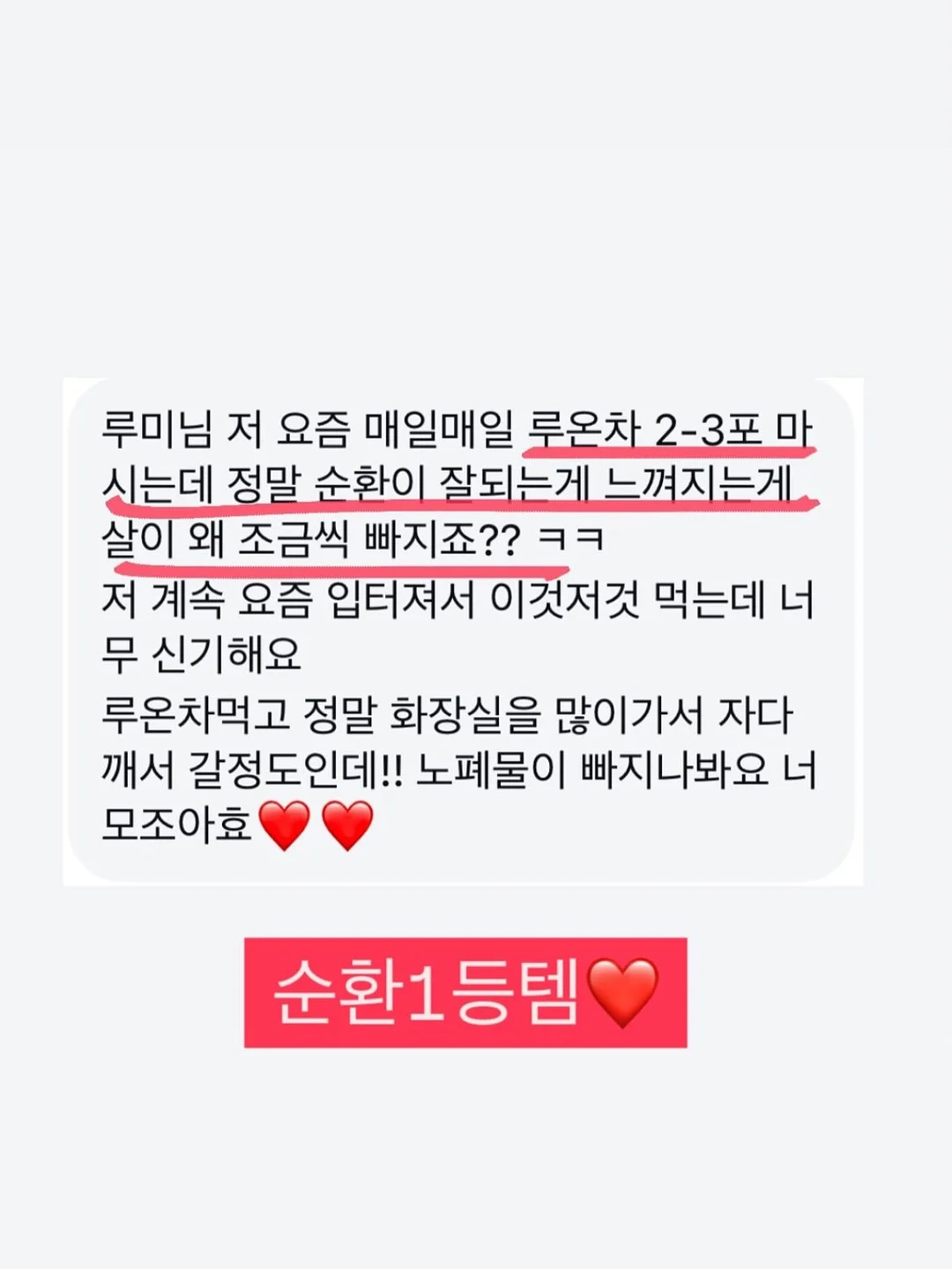 애견 가방 8