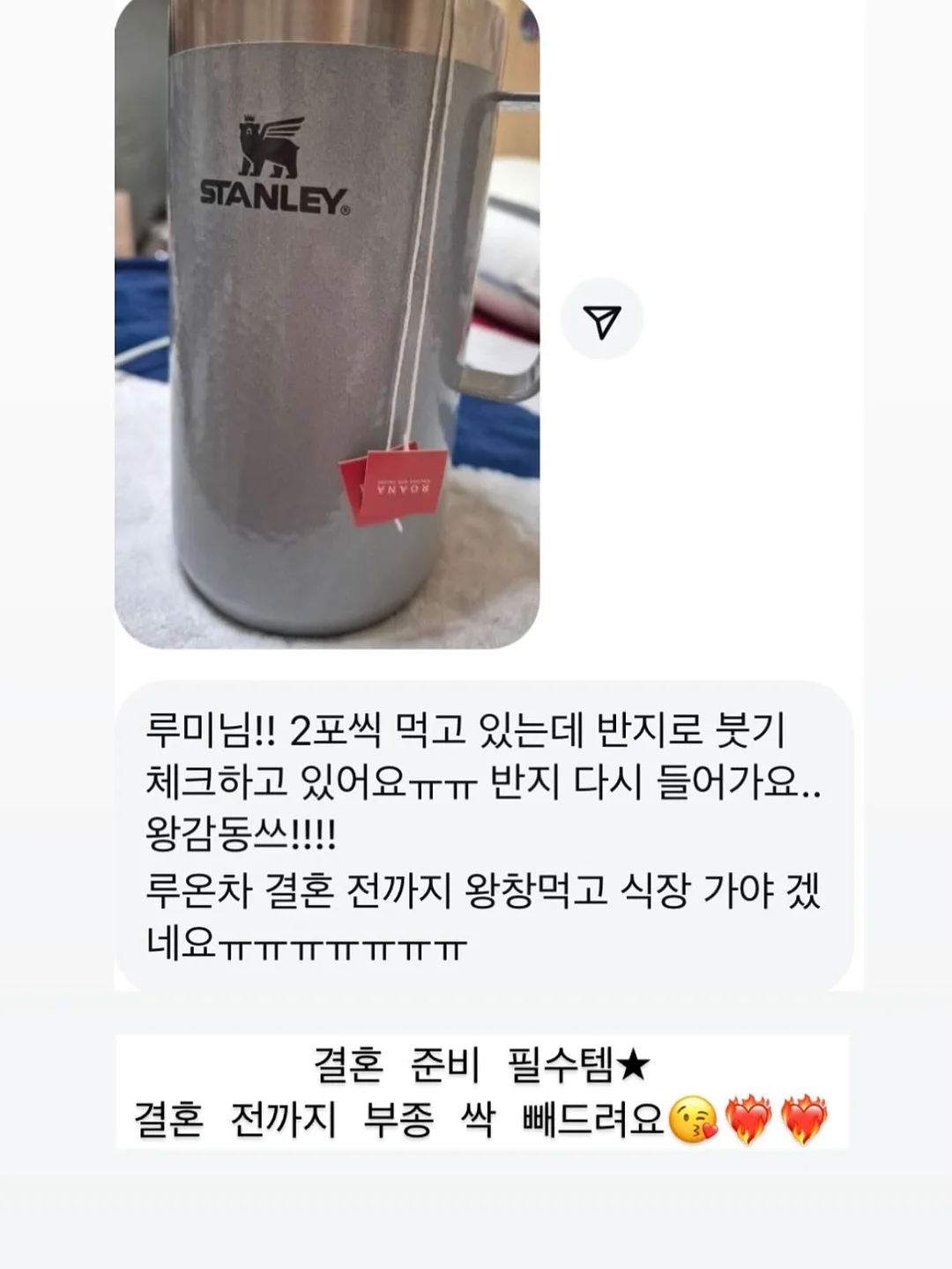 애견 가방 9