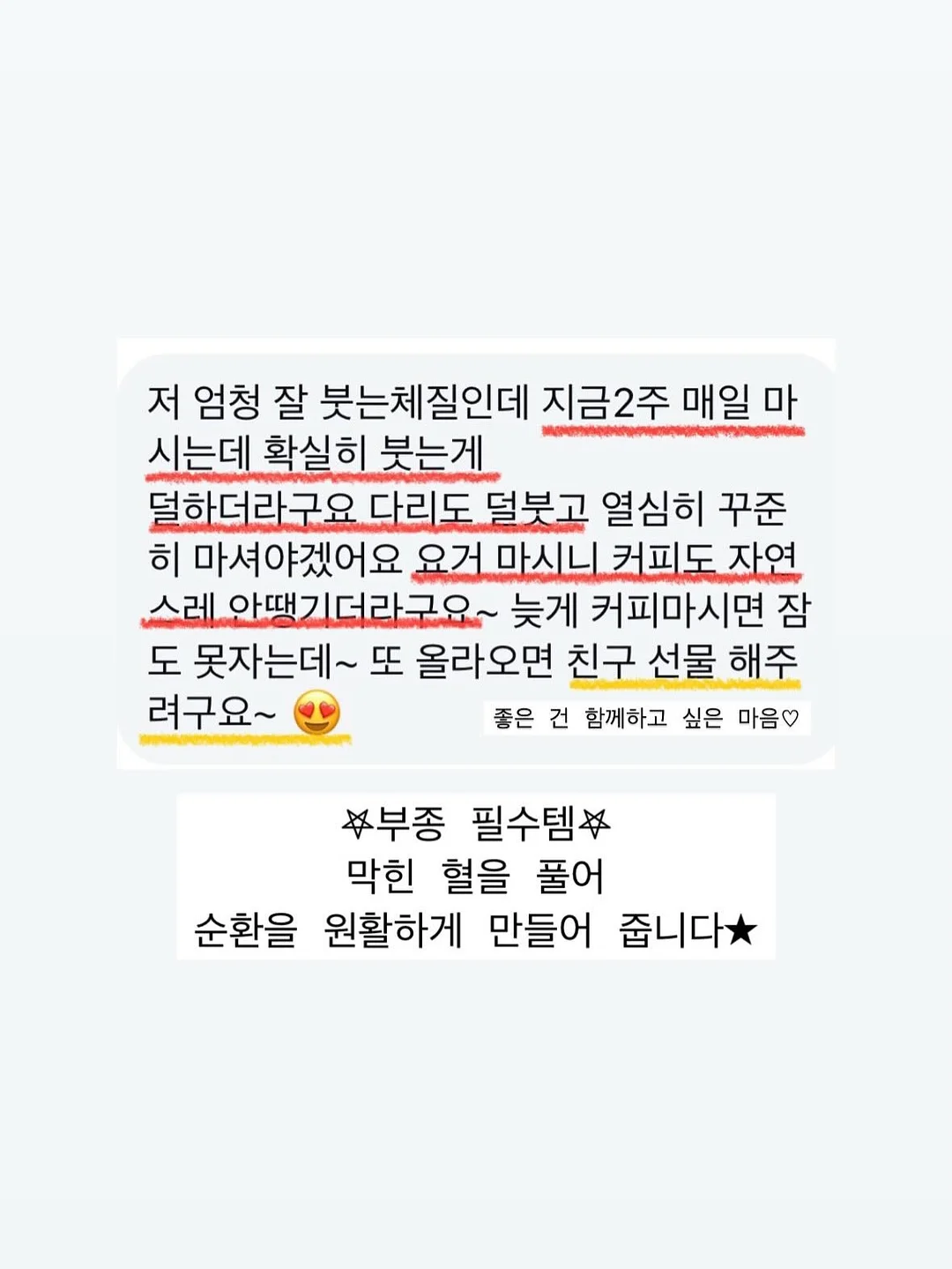 애견 가방 10