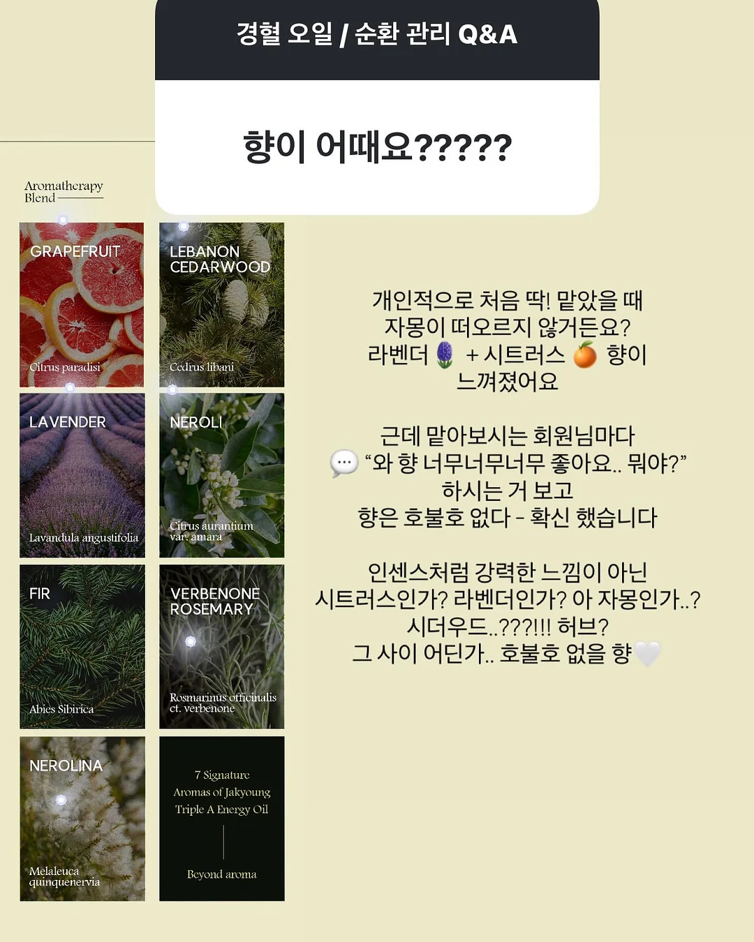 304 스테인리스 도마 7