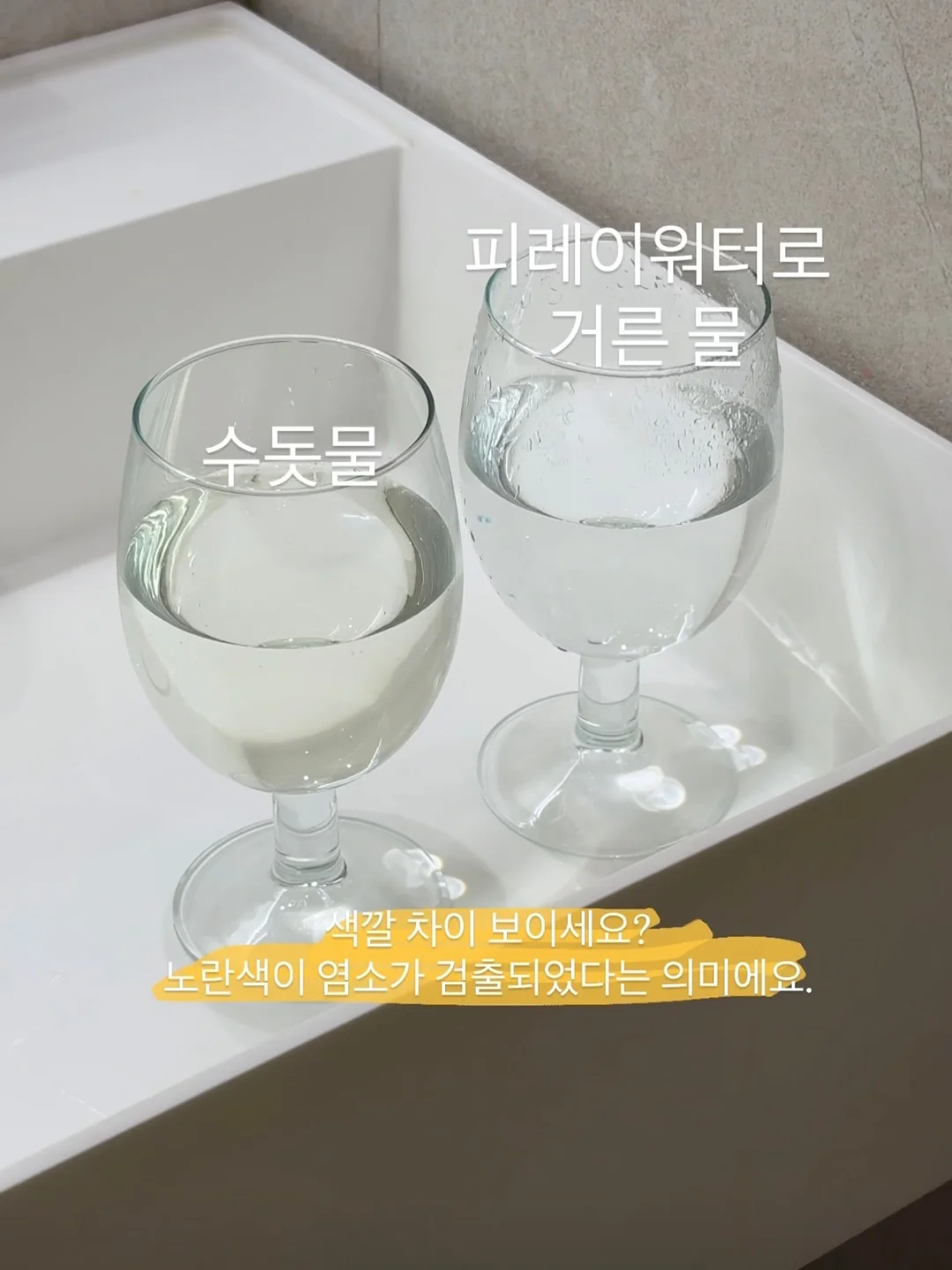 필수 영양제 5