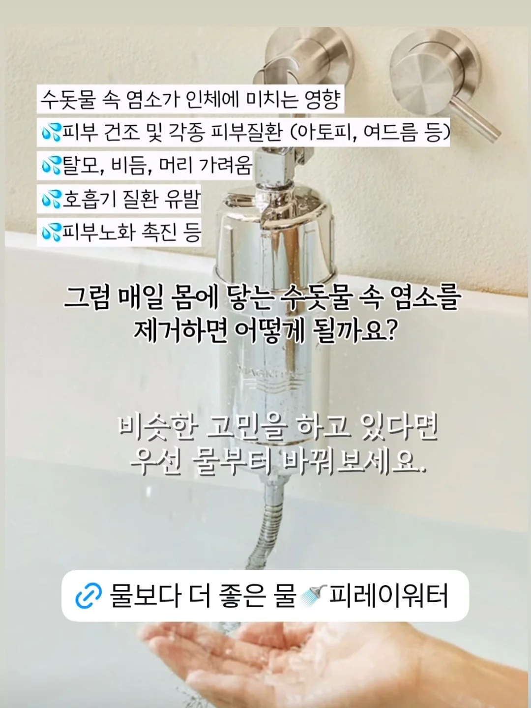 필수 영양제 6