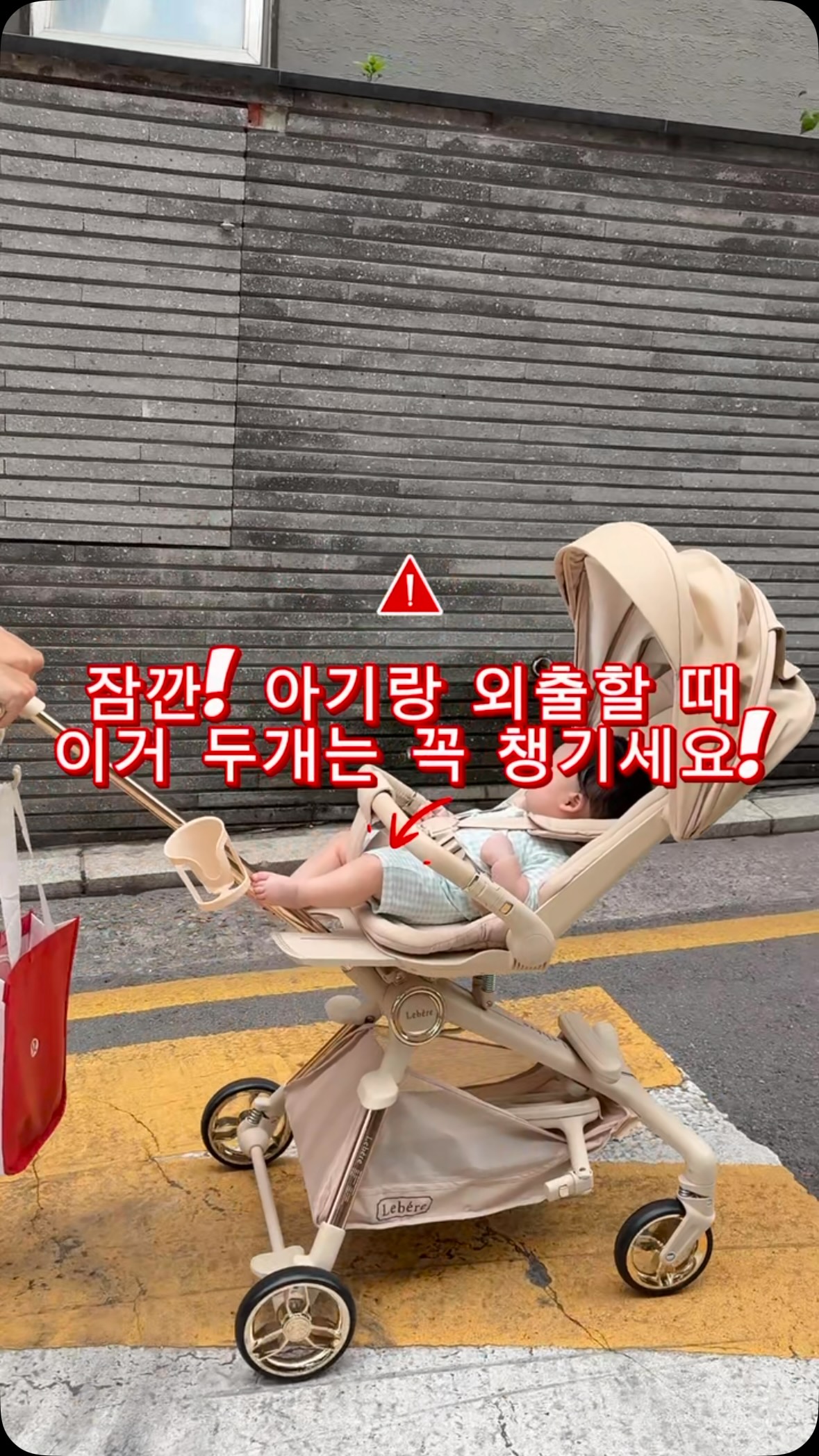 보노백